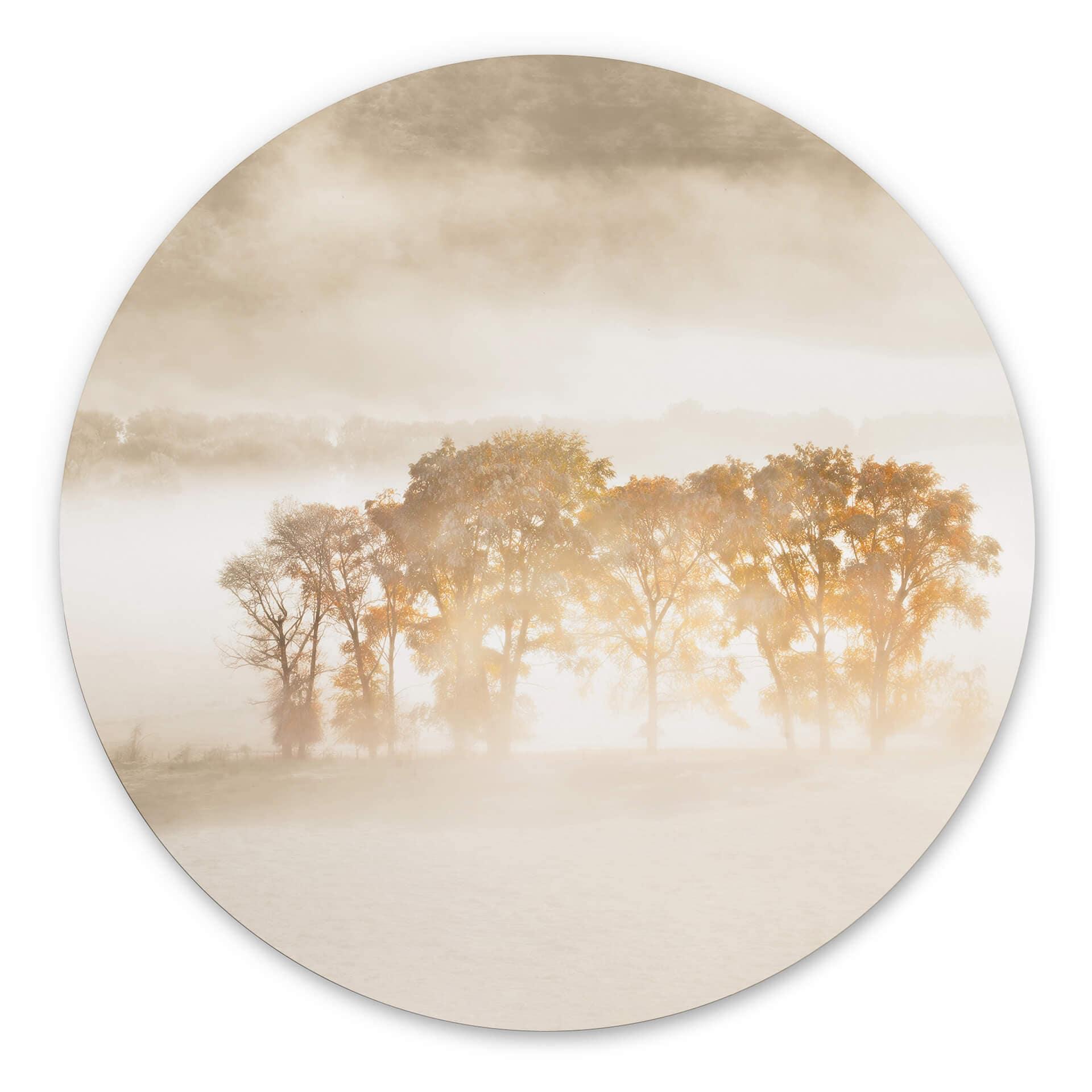 Tableau sur alu-Dibond rond Fan - Tempête de sable dans les Rocheuses