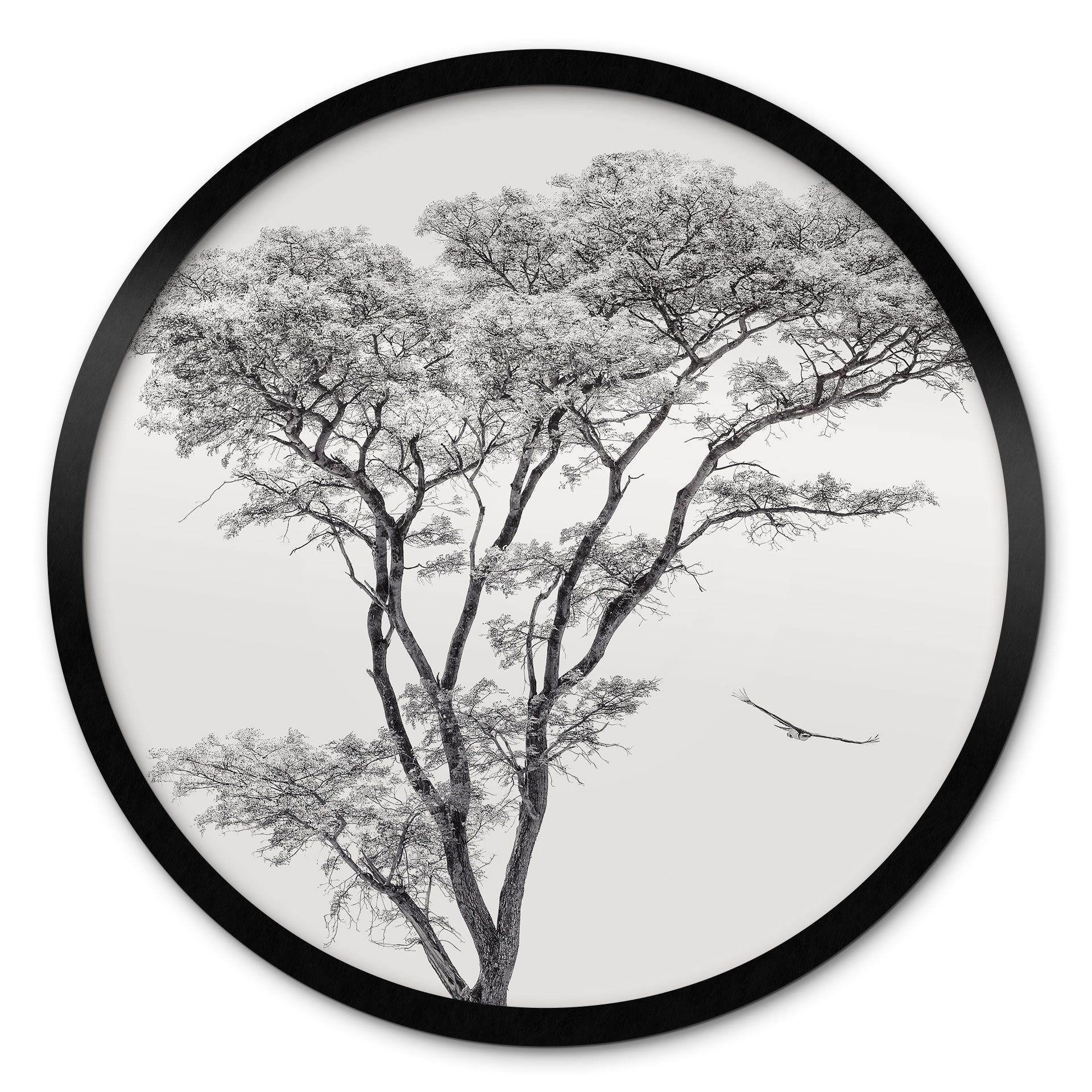 Póster Árbol minimalista en un paisaje tranquilo - Harina - Redondo