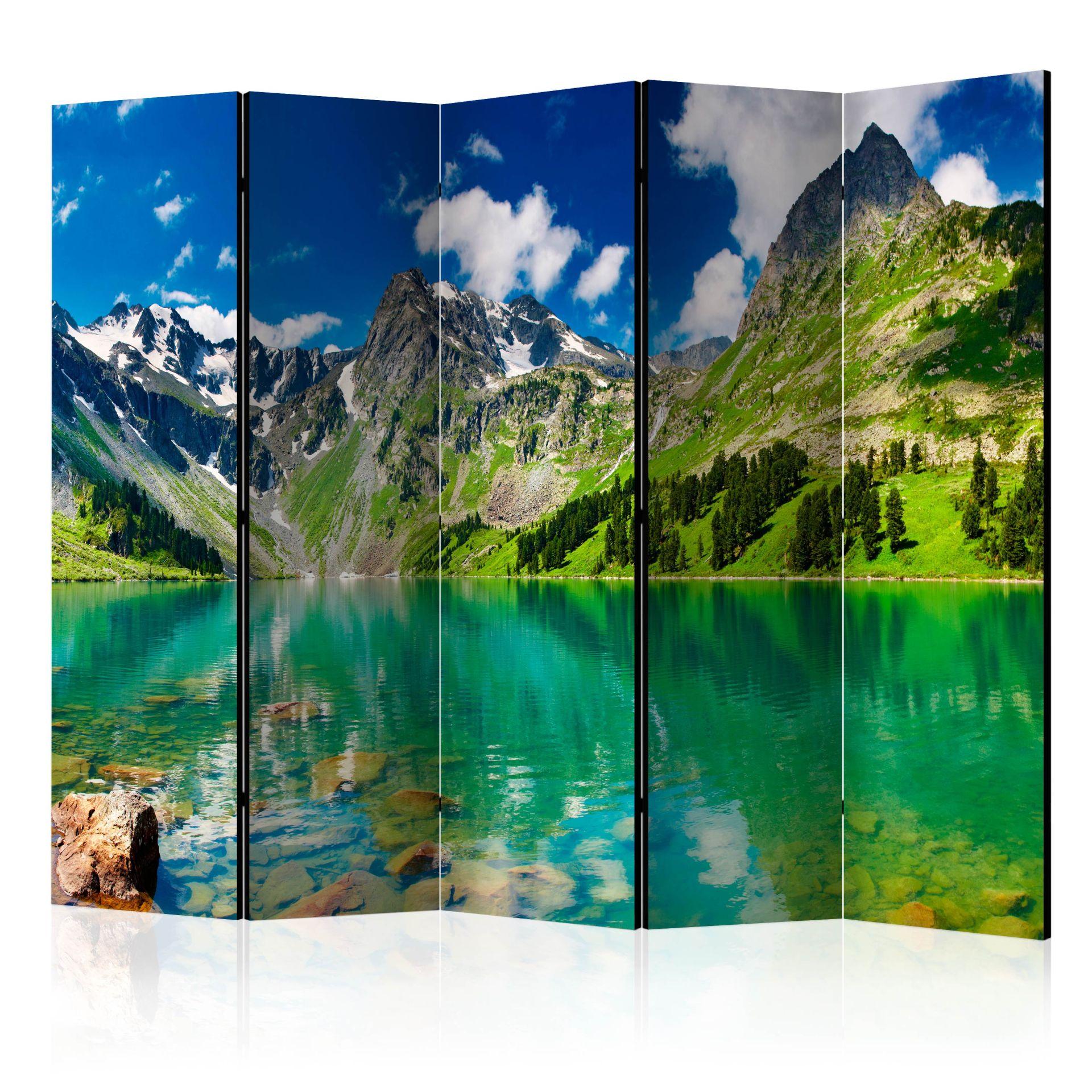Screen room divider - Bjergsø, 5-delt - 225x172 cm