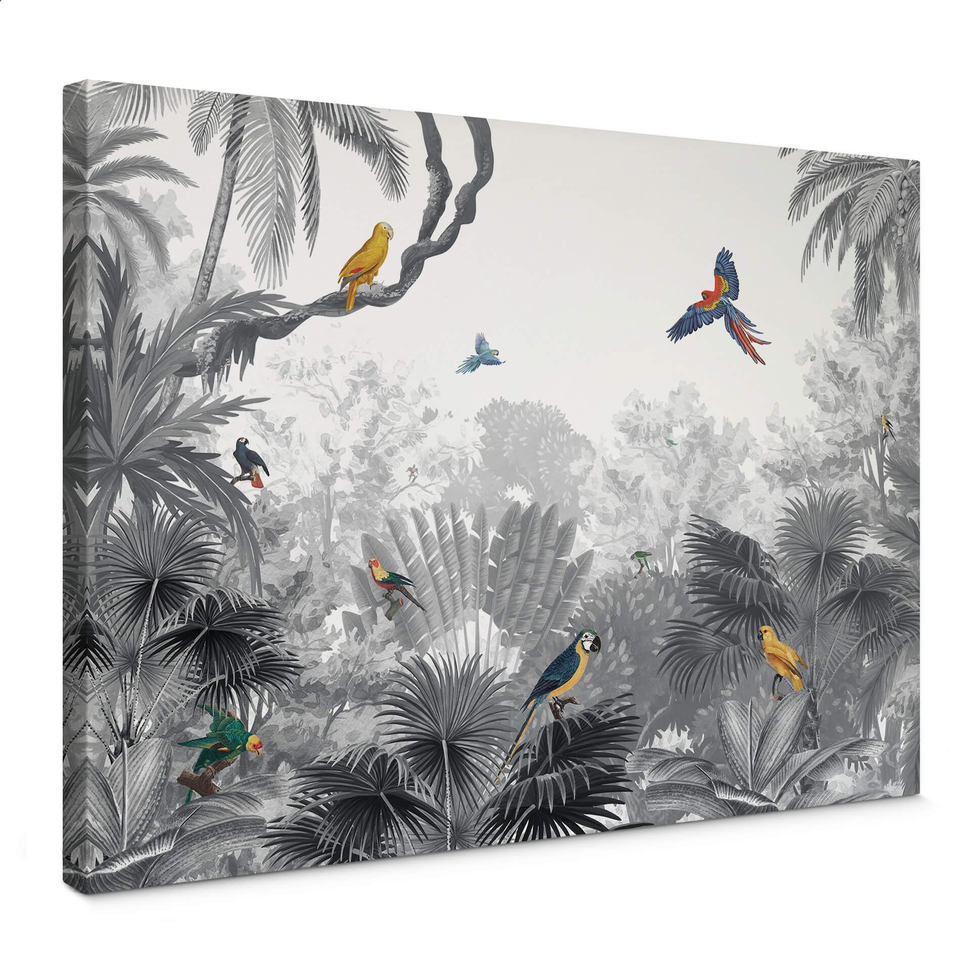 Lienzo Kikki Belle - Aves tropicales blanco y negro