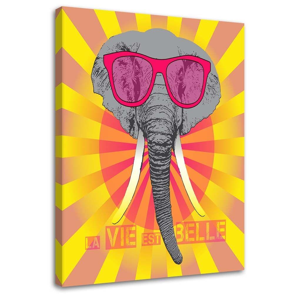 Canvasbillede, Elefant med briller
