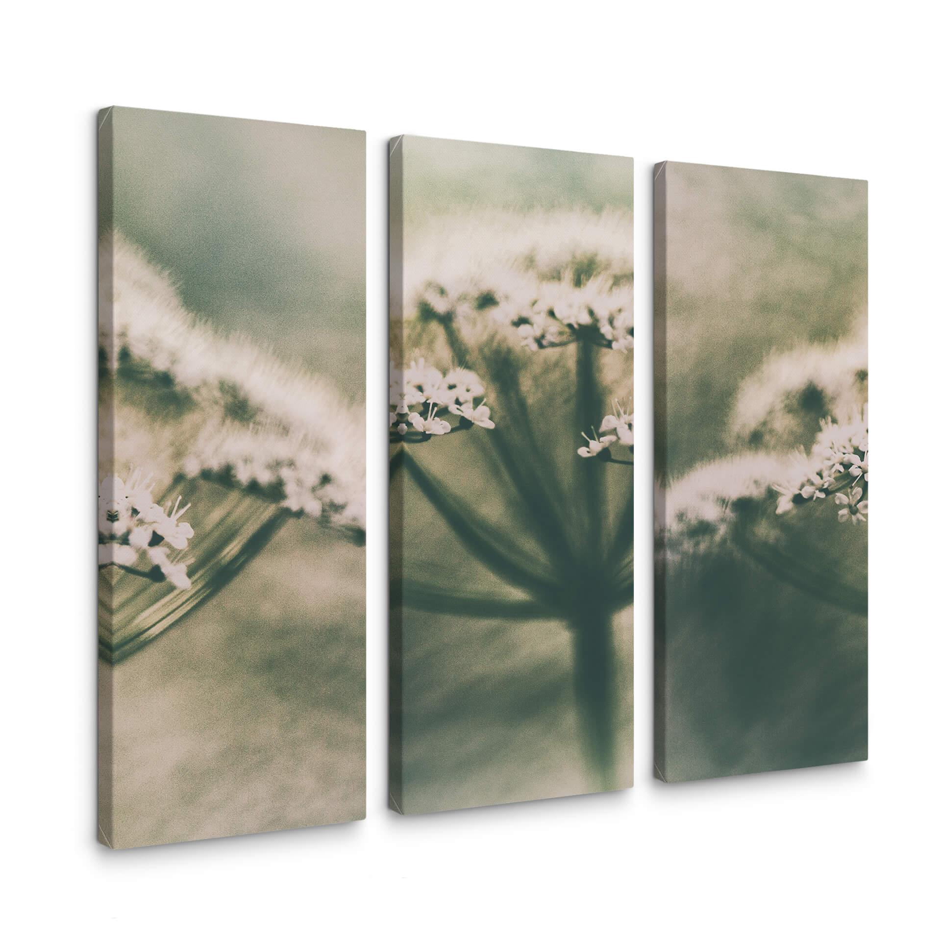 Canvasbillede - Davidsson - White Flowers (sæt med 3)