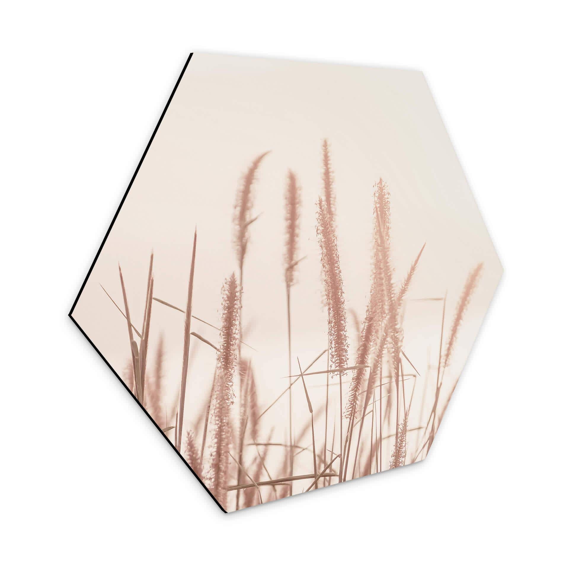 Hexagon Dibond Grass at Sea
