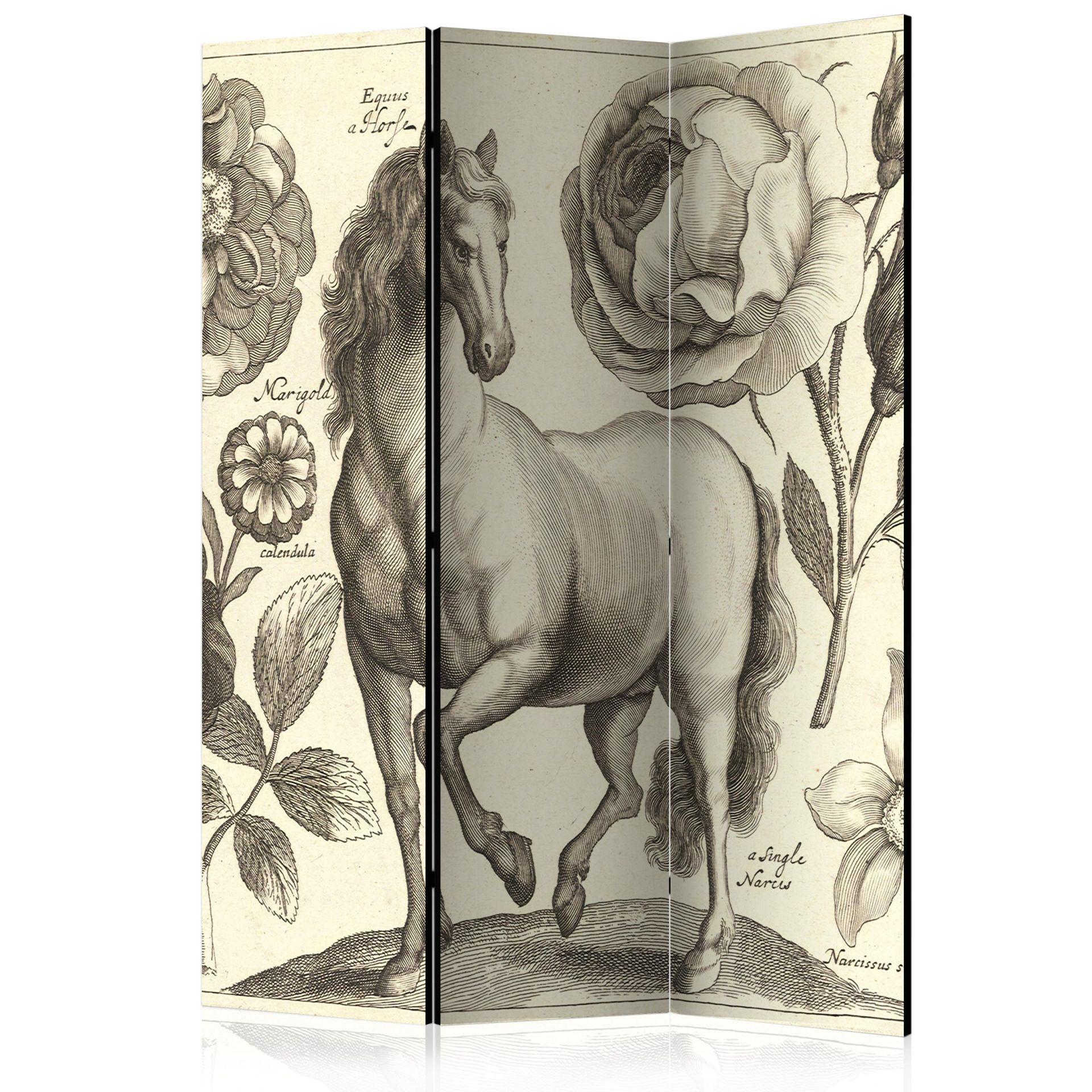 Screen room divider - Hest, 3-delt - 135x172 cm