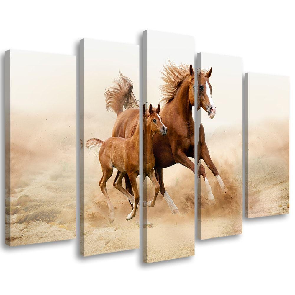 Lærredstryk 5 stykker, Bay Horse Galop Nature