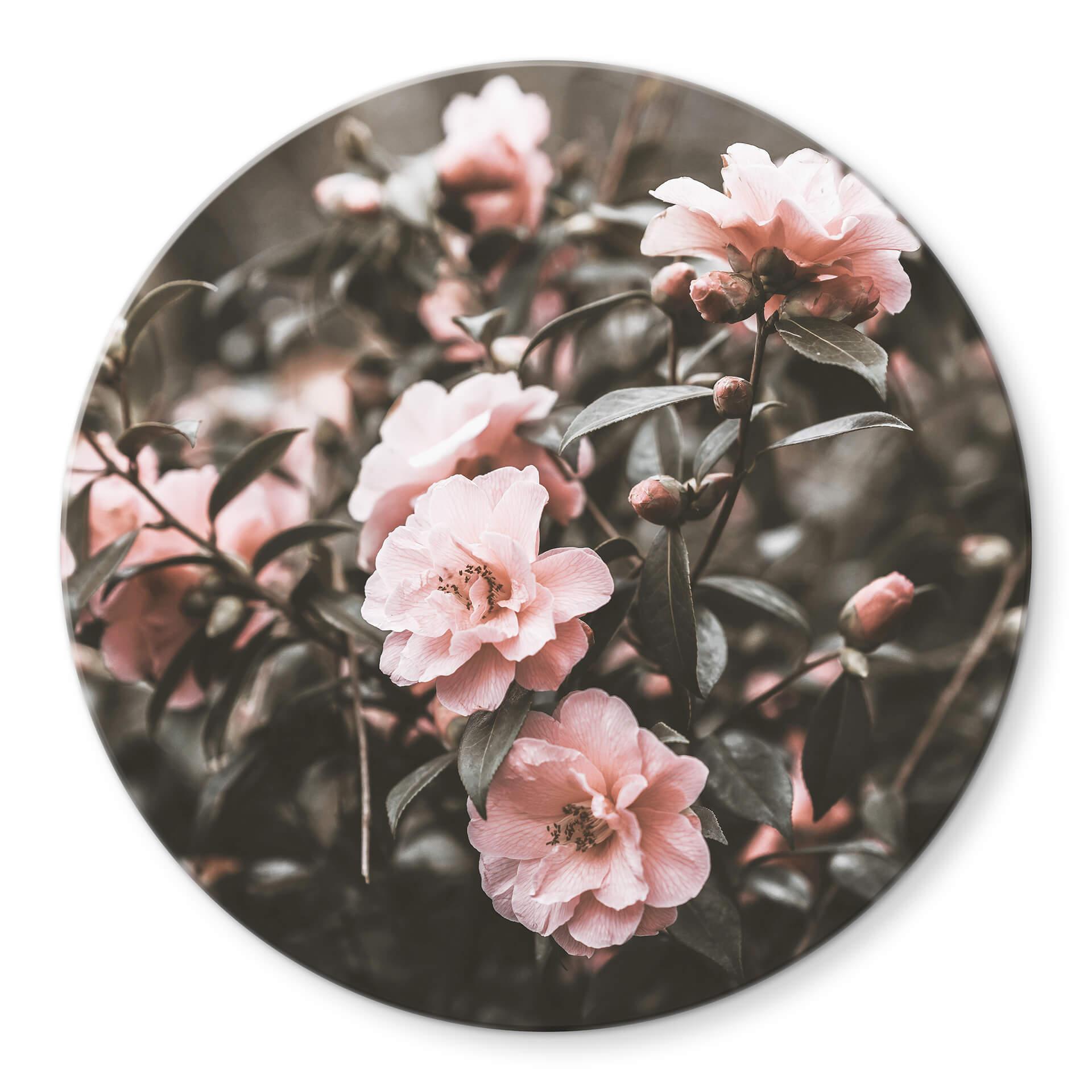 Tableau sur verre Annie - Rosier - Rond