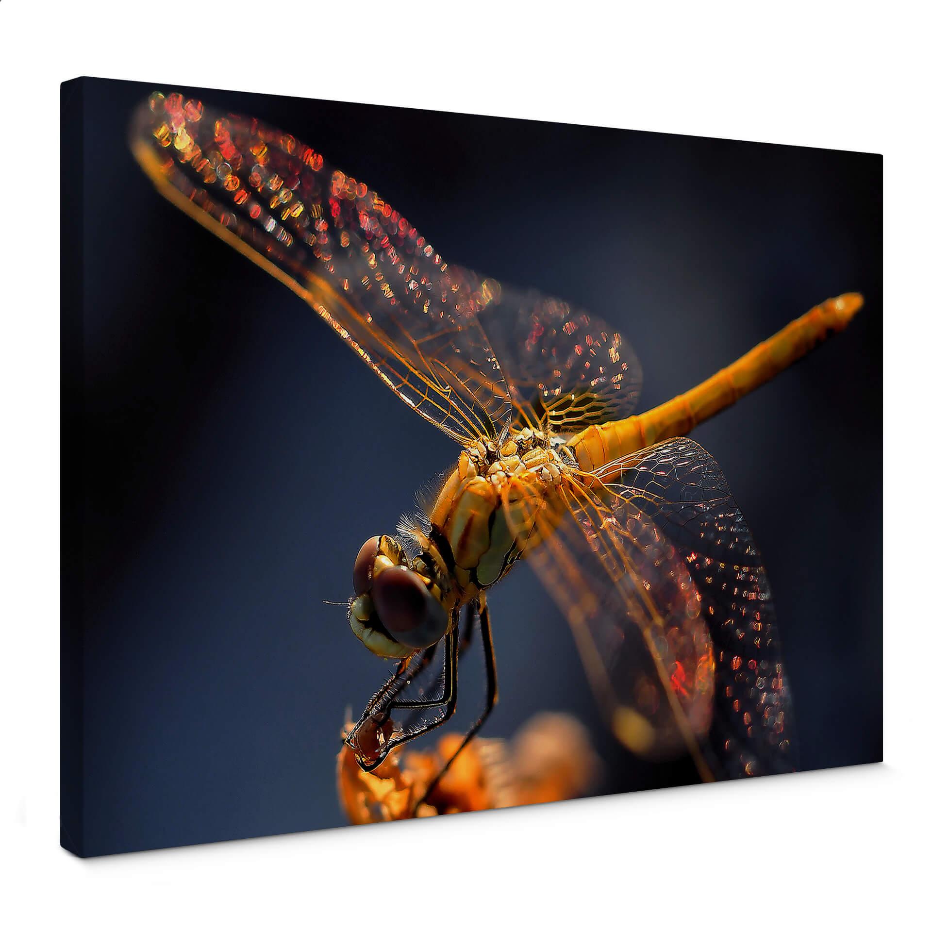 Canvasbillede - Dufour - Dragonfly up close
