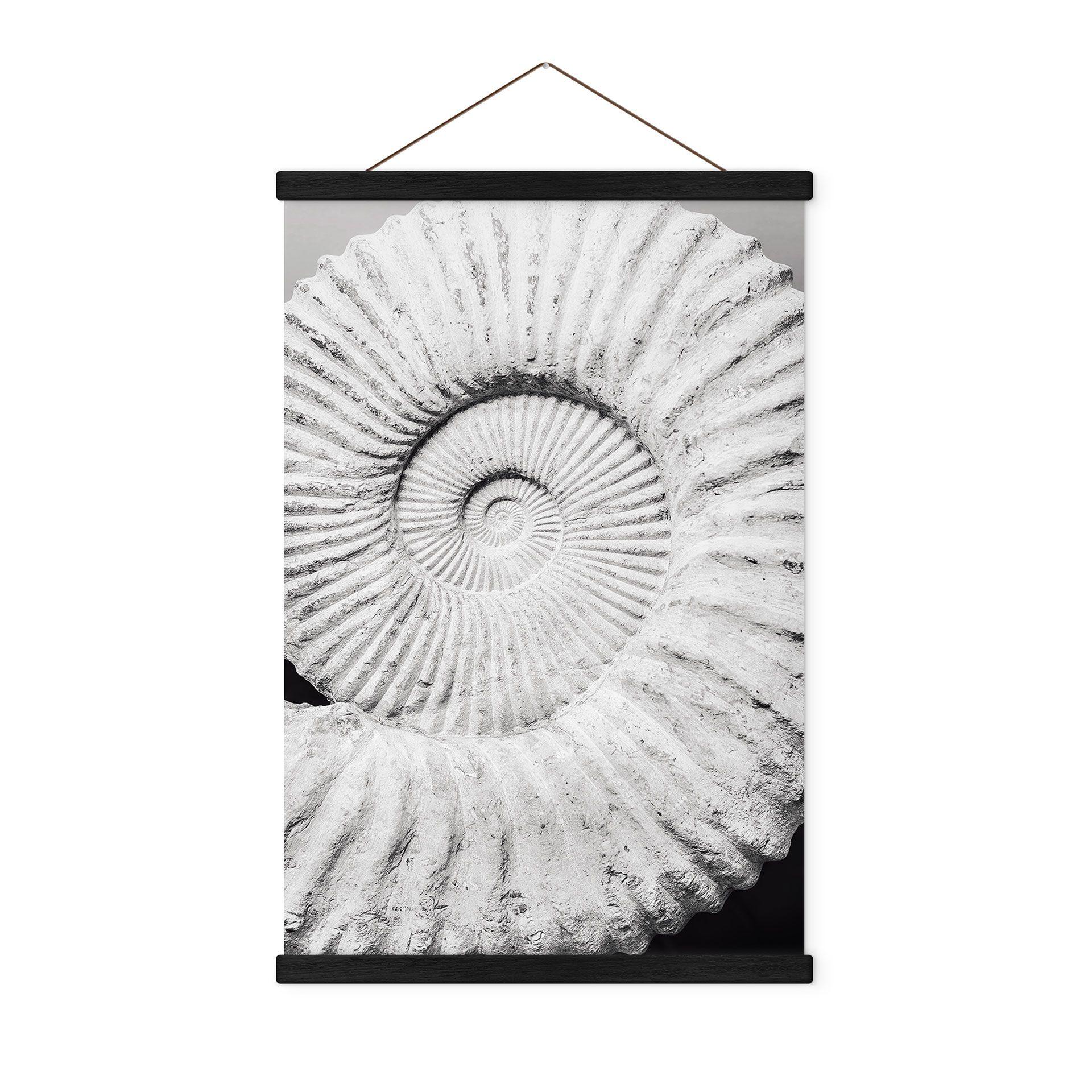 Tekstil plakat Fossil muslingeskal - Shot-by-Clint