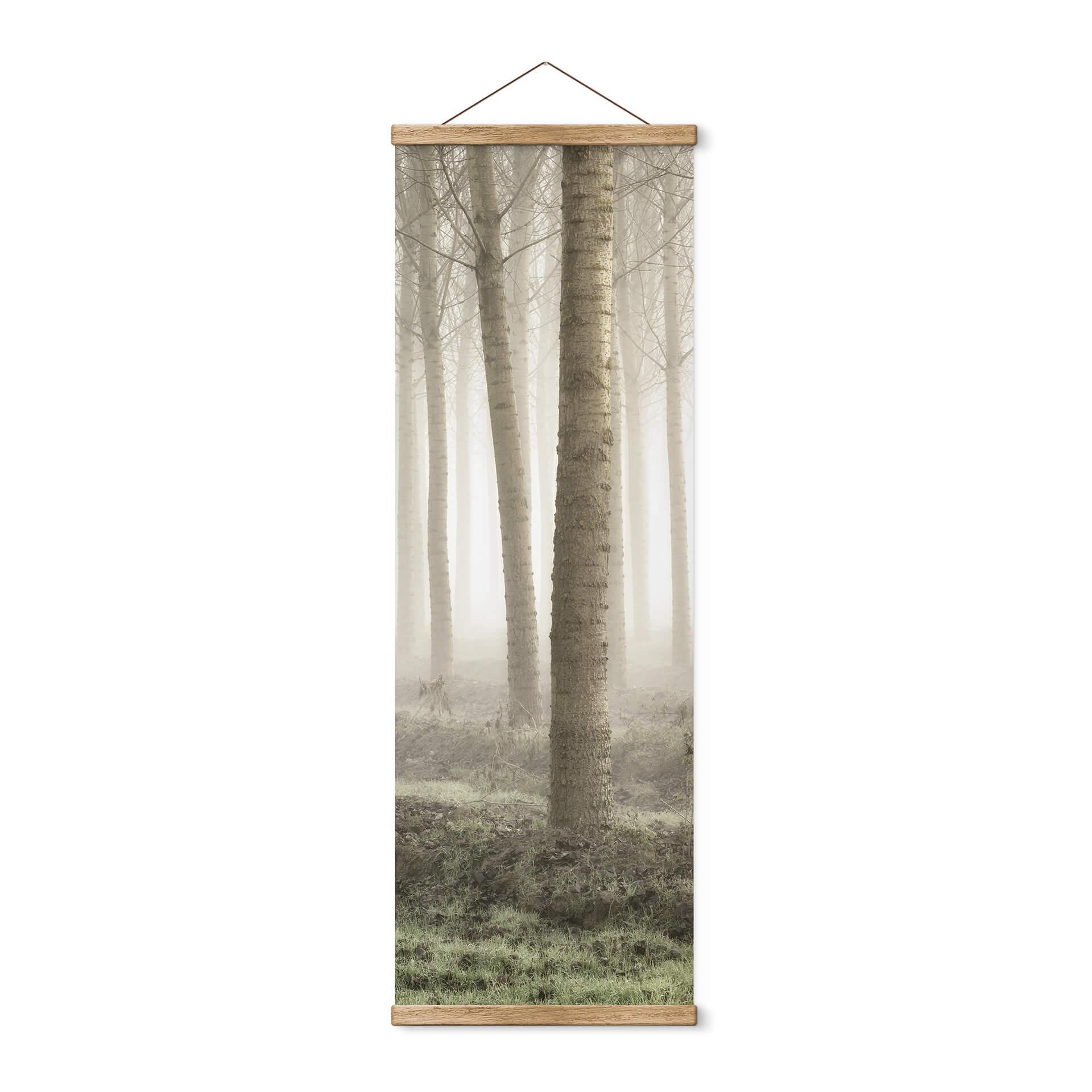 Póster de tela Carozzi - Bosque de cuento de hadas en la bruma matinal - Panorama