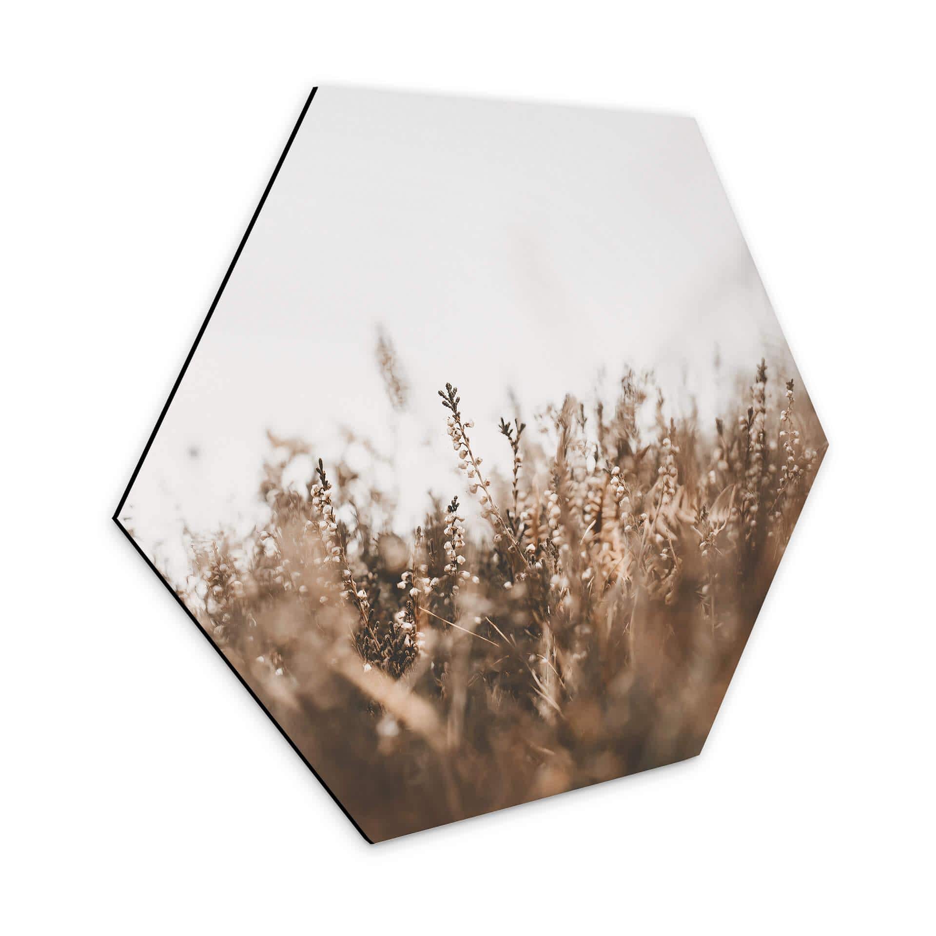 Hexagone - Alu-Dibond Annie - Herbes des prés 
