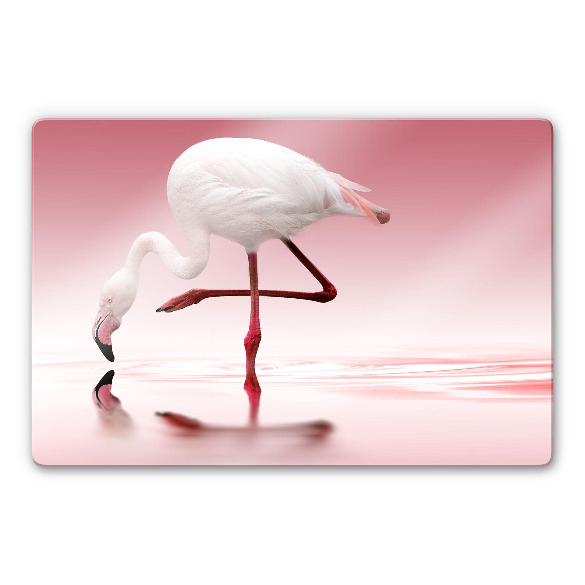 Tableau sur verre Reindl - Pink Flamingo