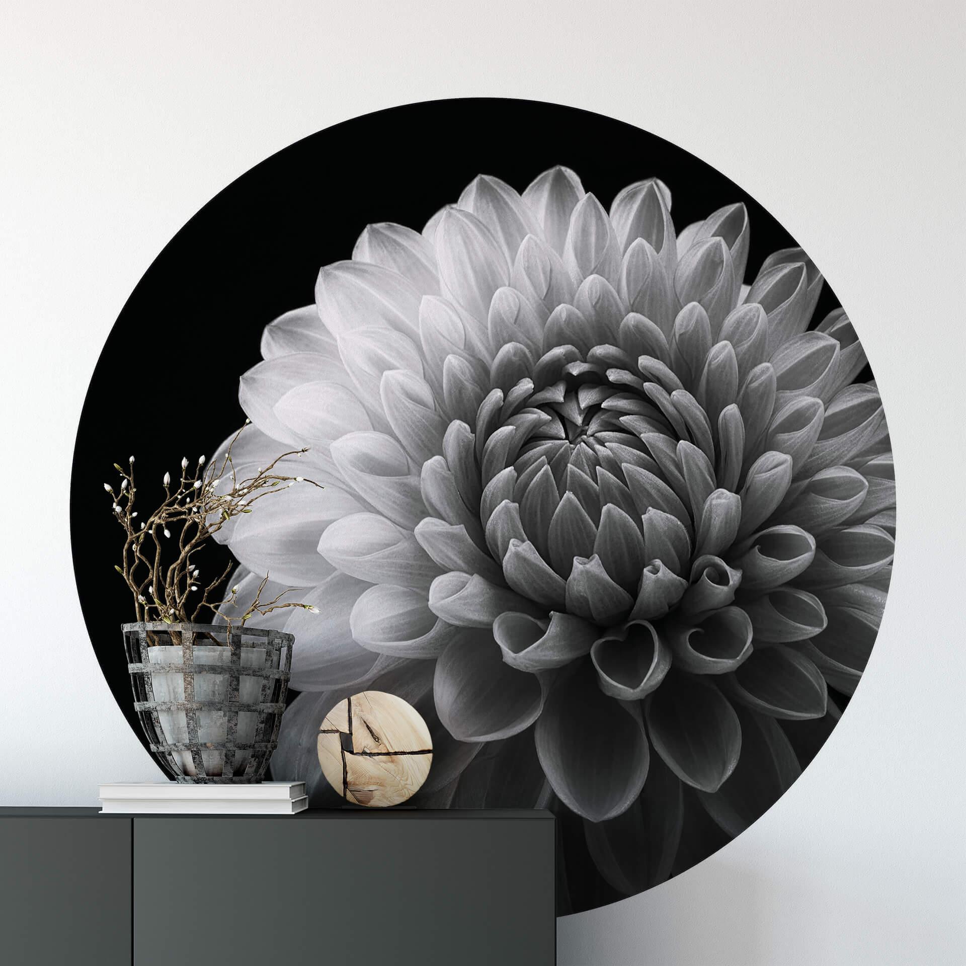 Fototapet - Rundt Grønkjær - Dahlia - vliesetapet/selvklæbende non-woven tapet