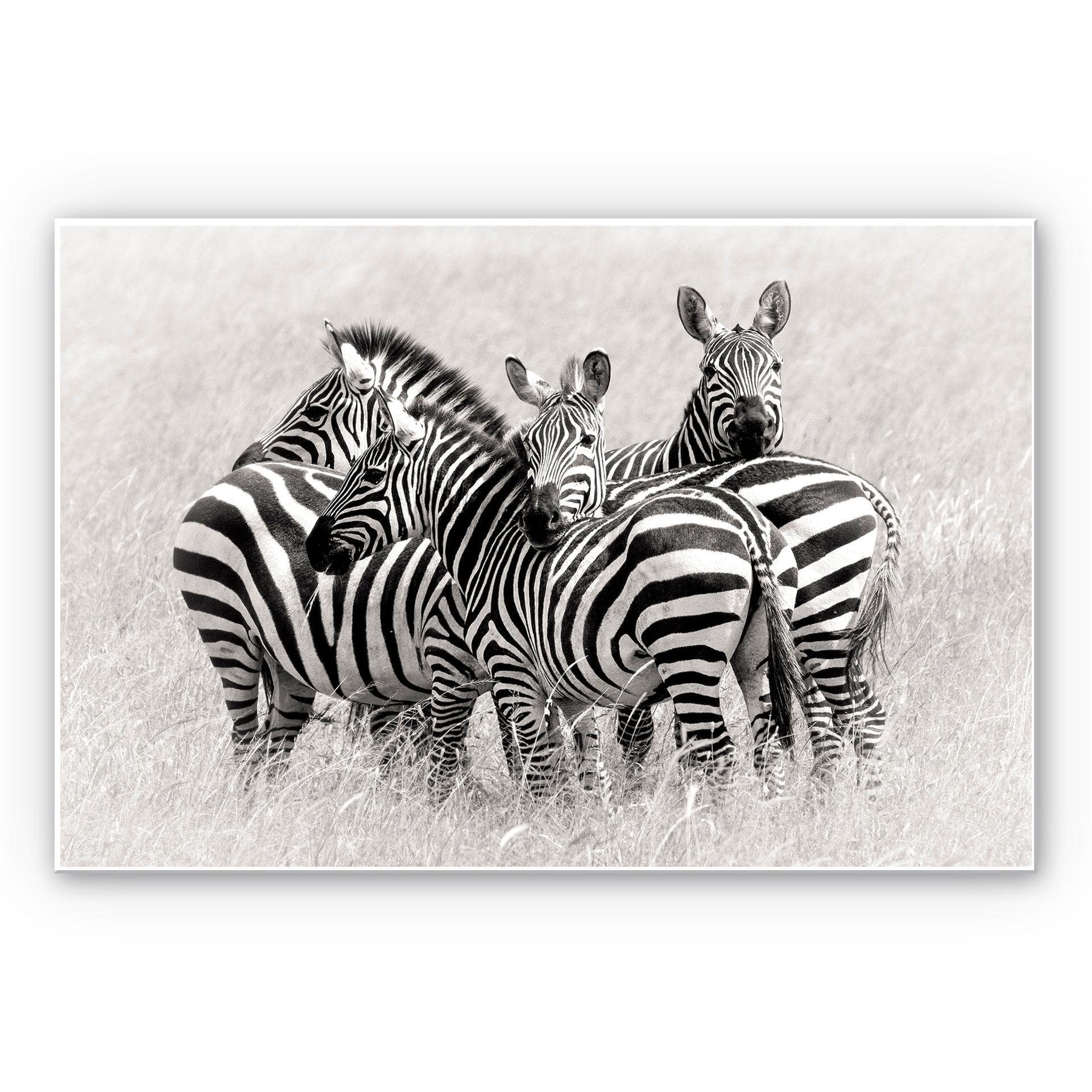 Tableau Forex - Trubitsyn - Zèbres dans la savane