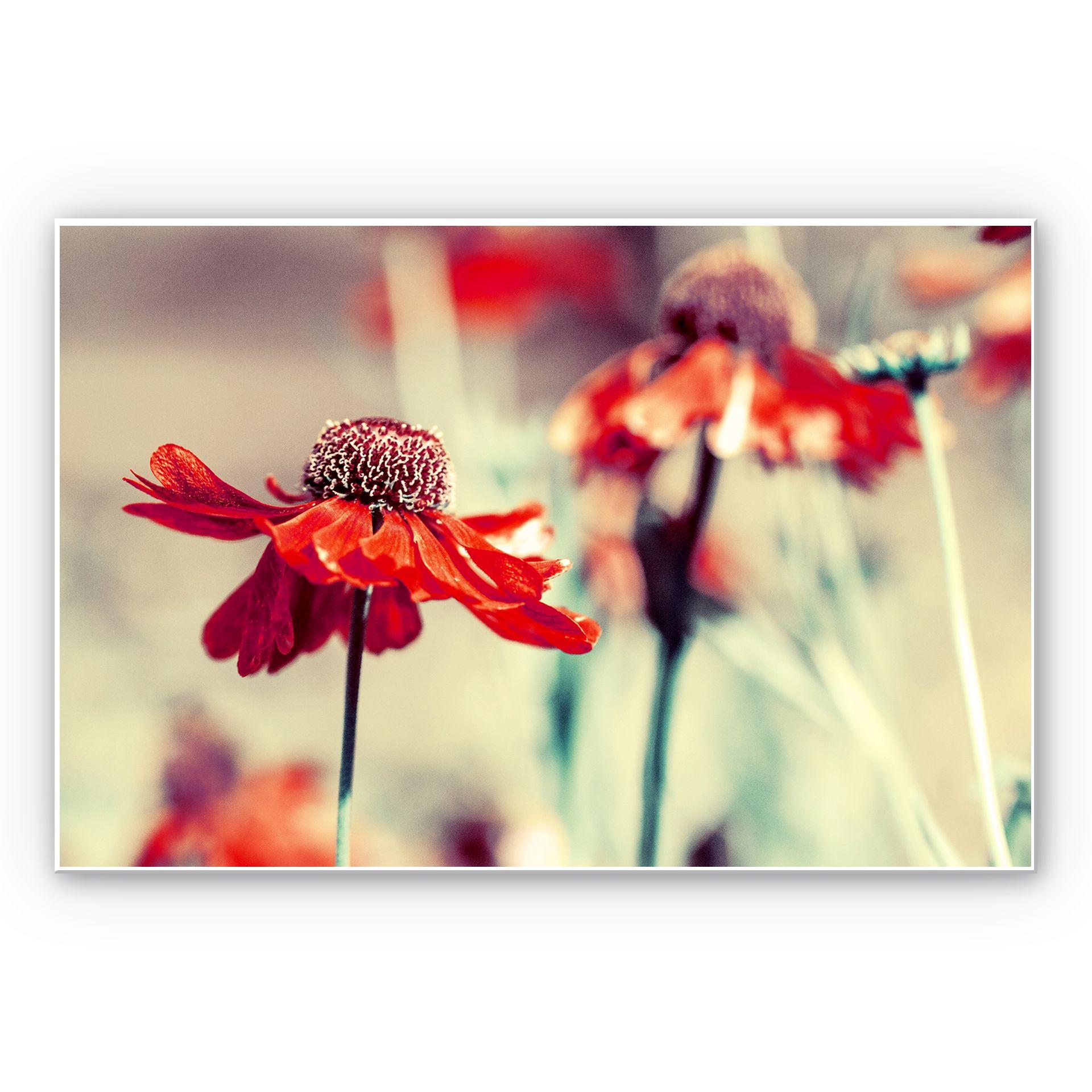 Tableau Forex - Chapeau de soleil rouge
