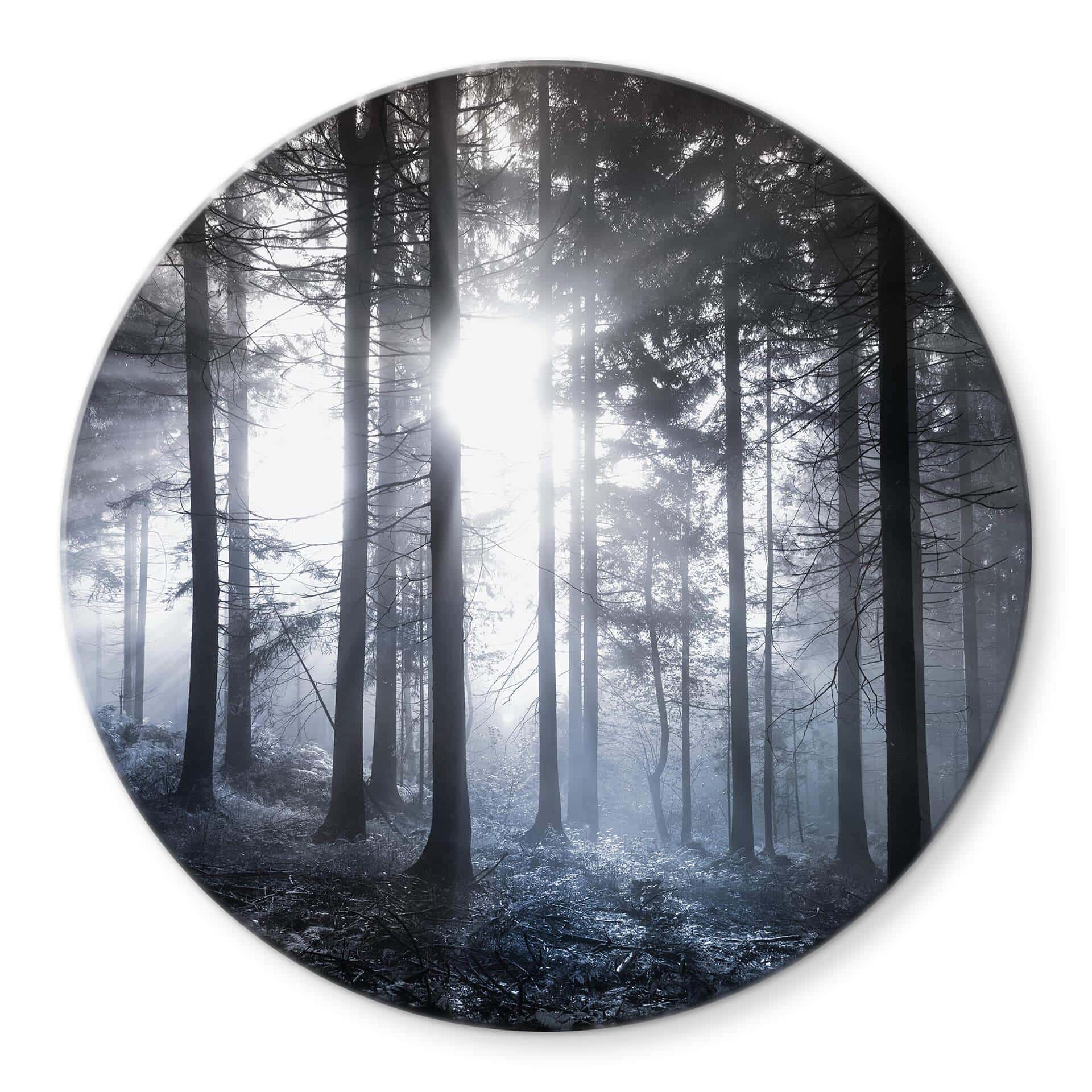 Tableau sur verre  Rayons de soleil dans la forêt bleue - Rond