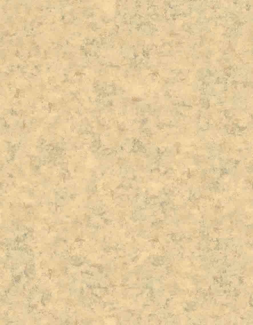 Fototapet Boho bananblade i naturlige toner på en sandet vintagestruktur 3,4 x 2,65 m