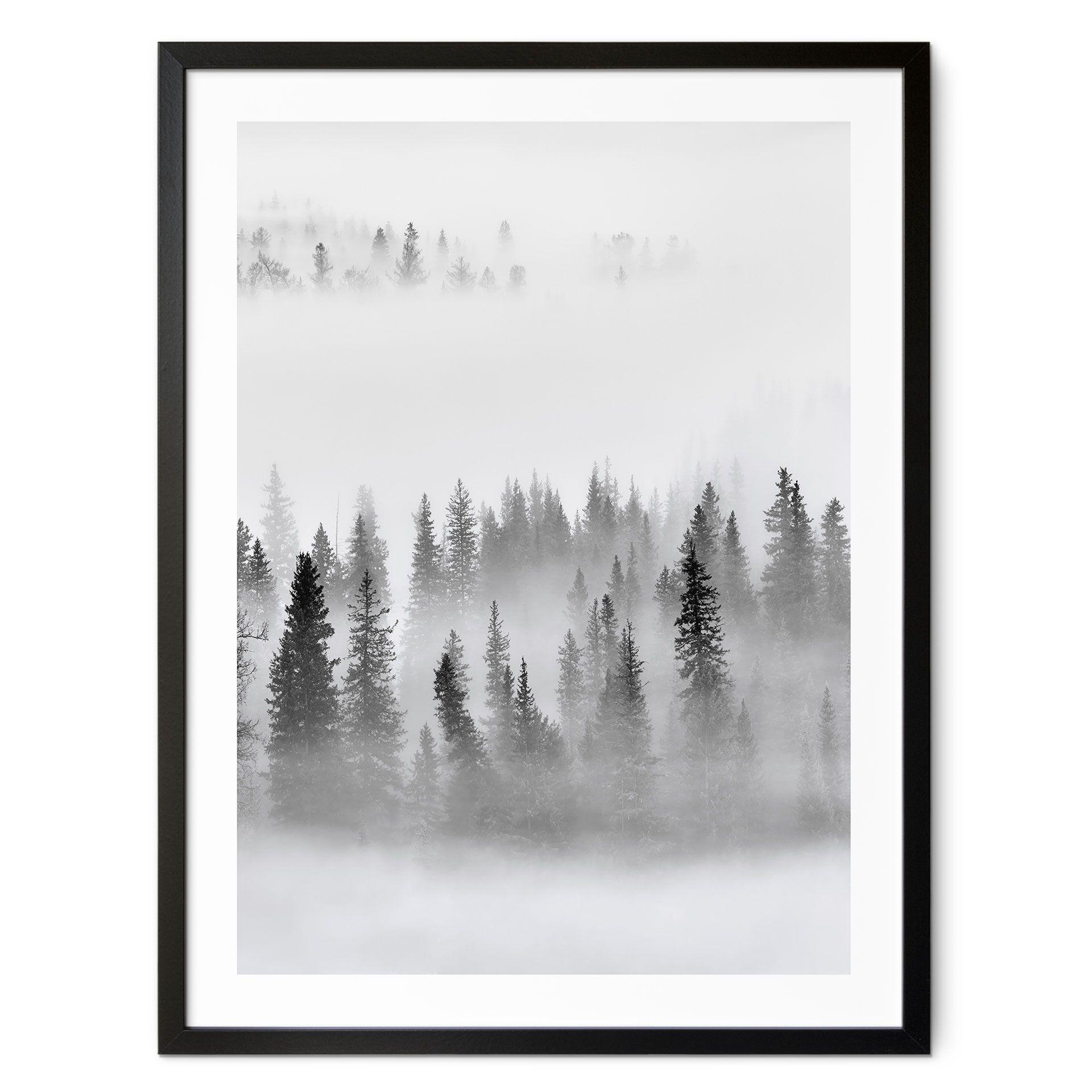 Póster bosque nuboso en blanco y negro - Xu