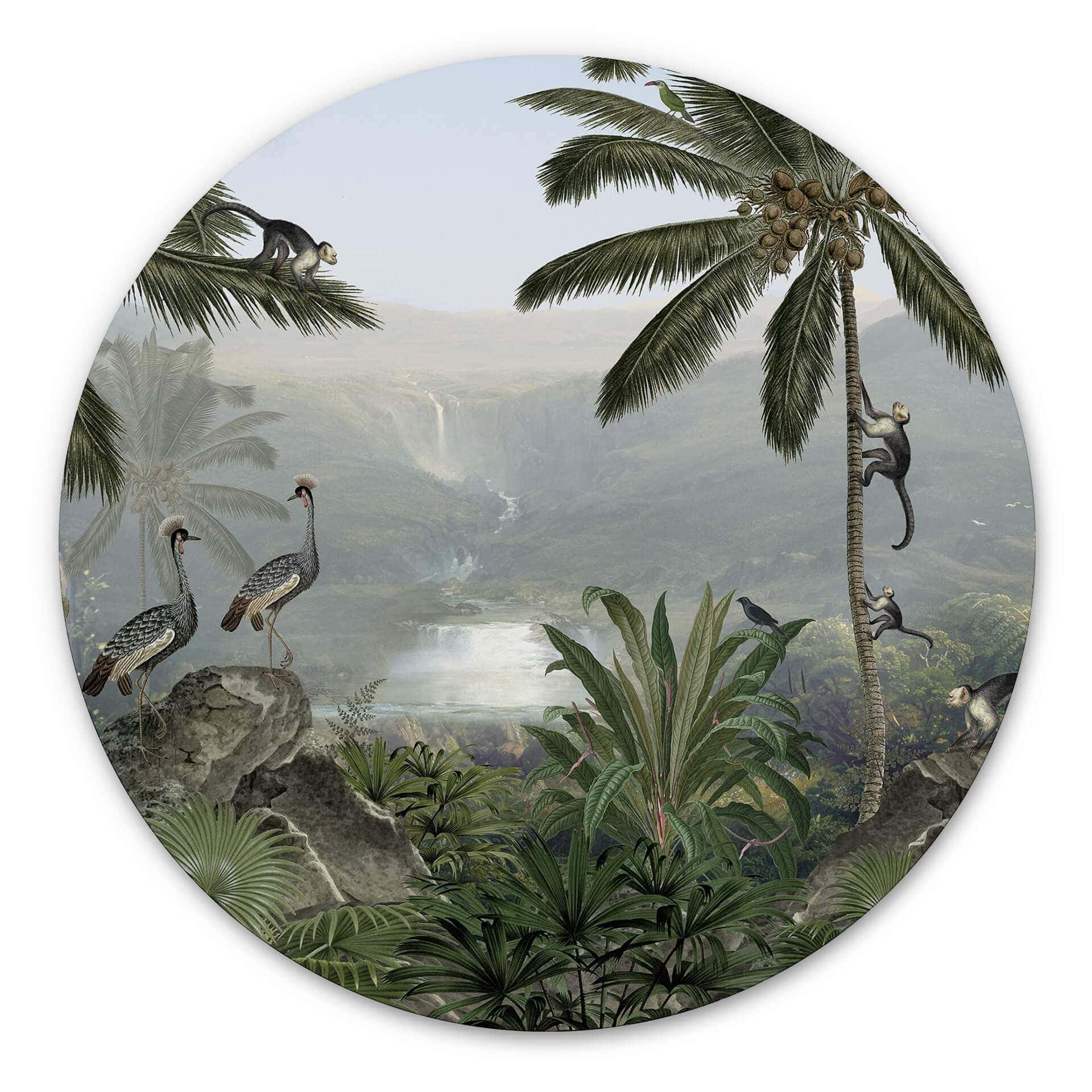 Tableau sur alu-Dibond rond Sir Edward - Réserve des singes