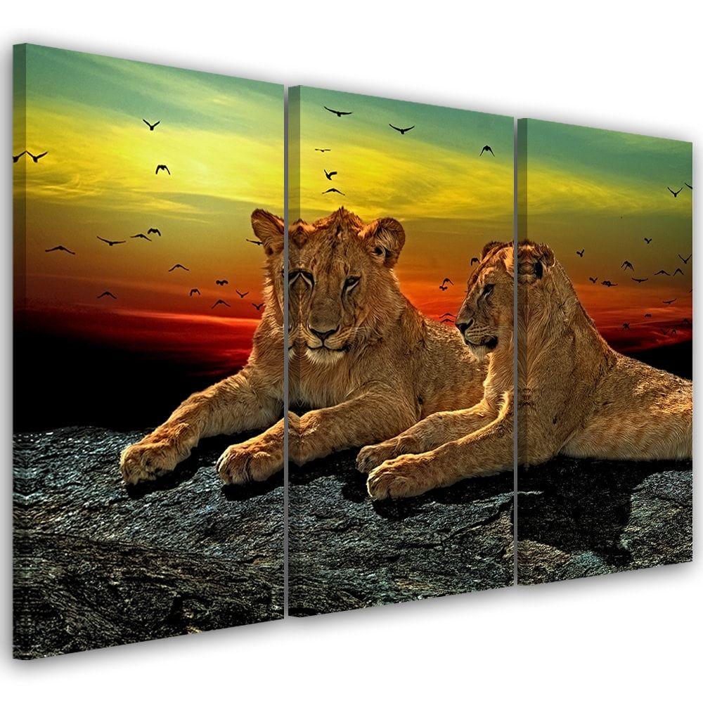 3 stykke lærredsprint, Lions Wilderness Africa Nature