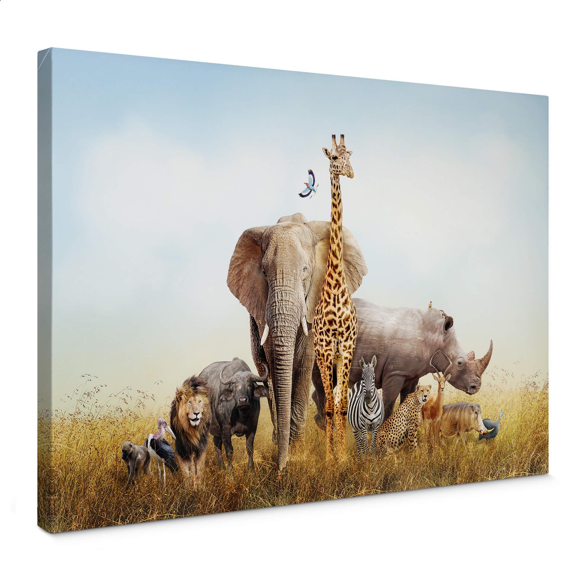 Cuadro lienzo Animales africanos