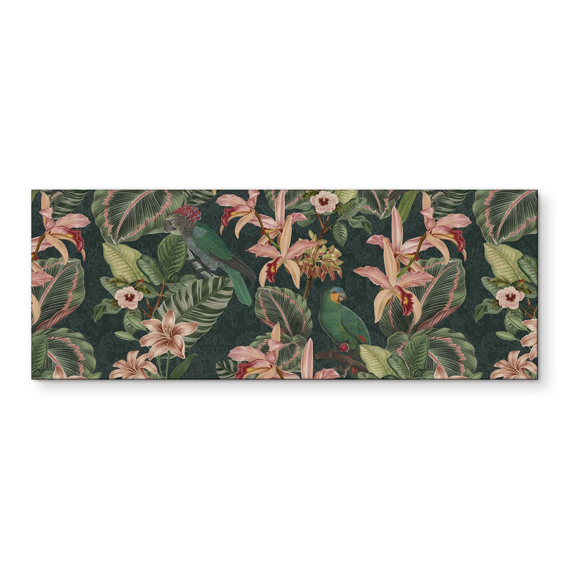 Billede jungle med papegøjer natgrøn - Bloomery Decor panorama – print på aluminium