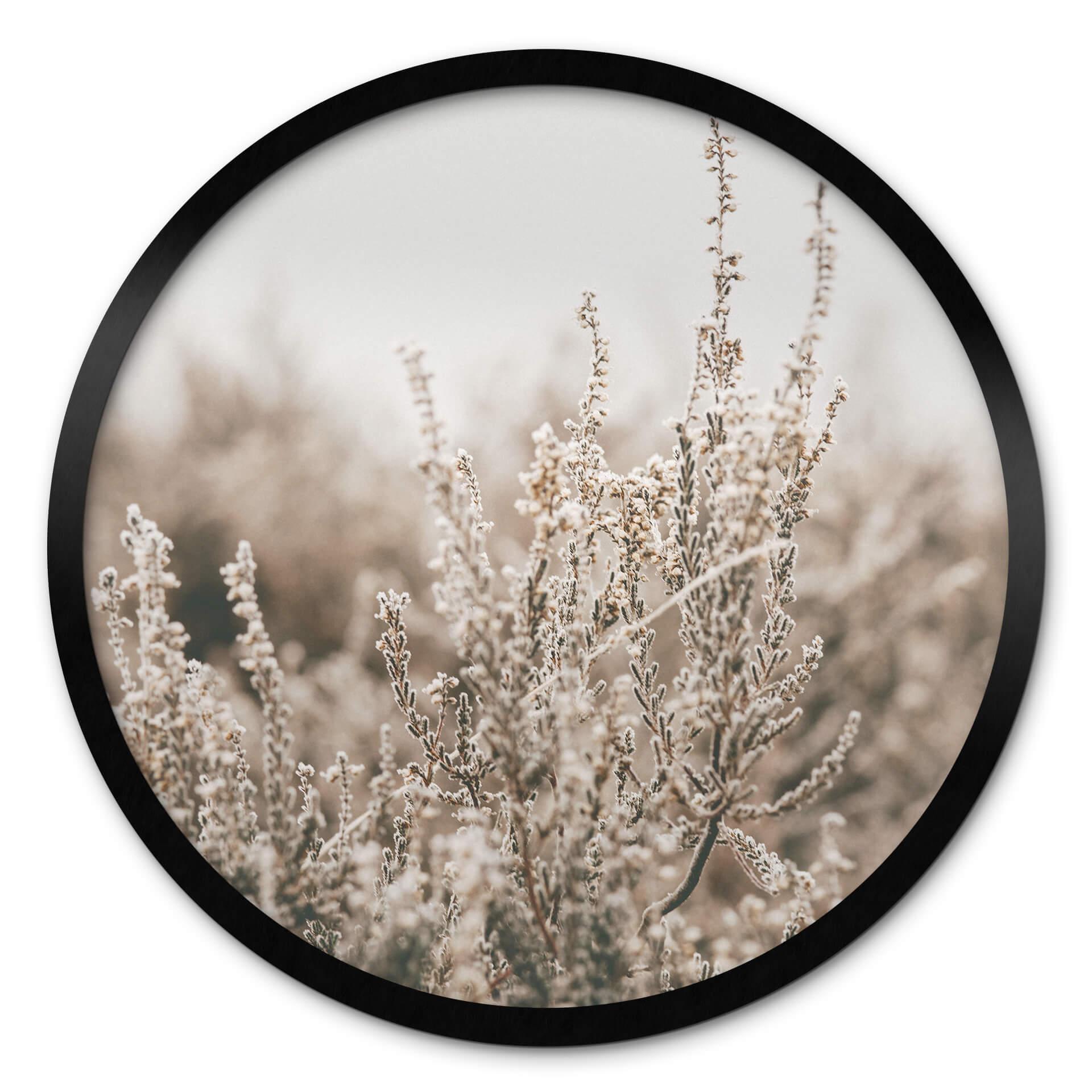Plakat Annie - Grass