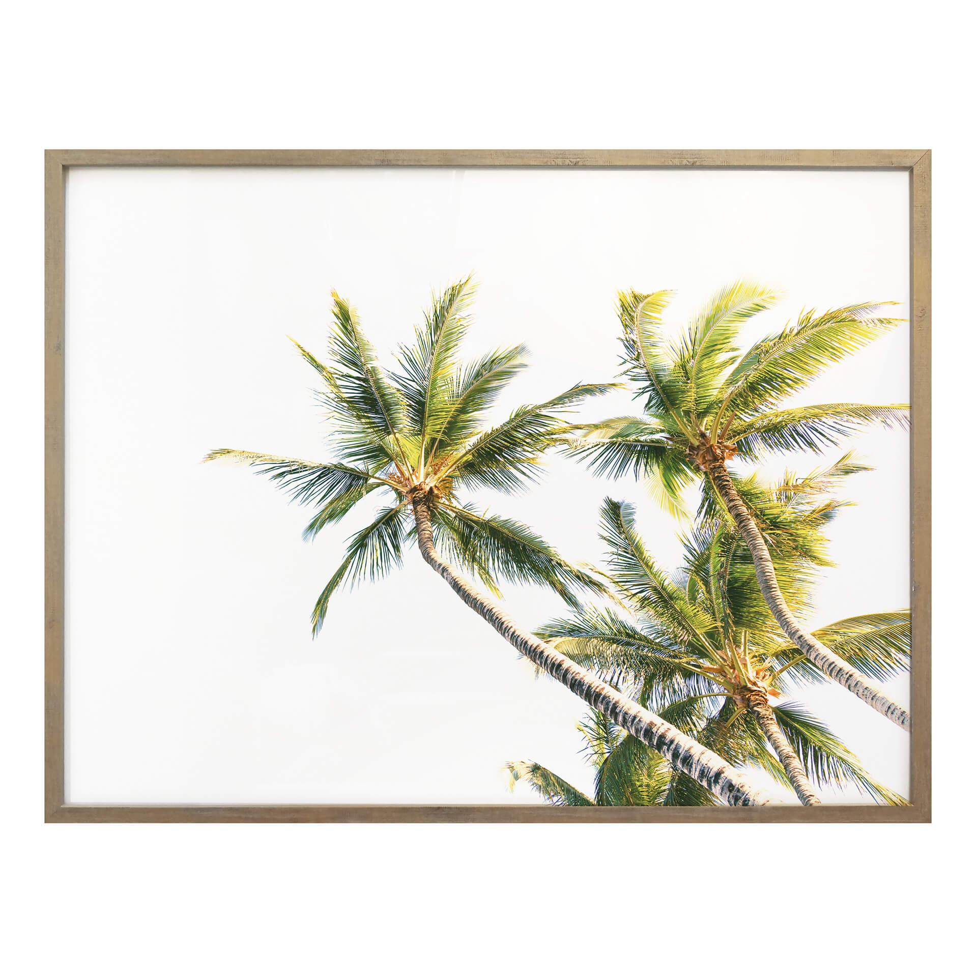 Póster - Palmeras 05