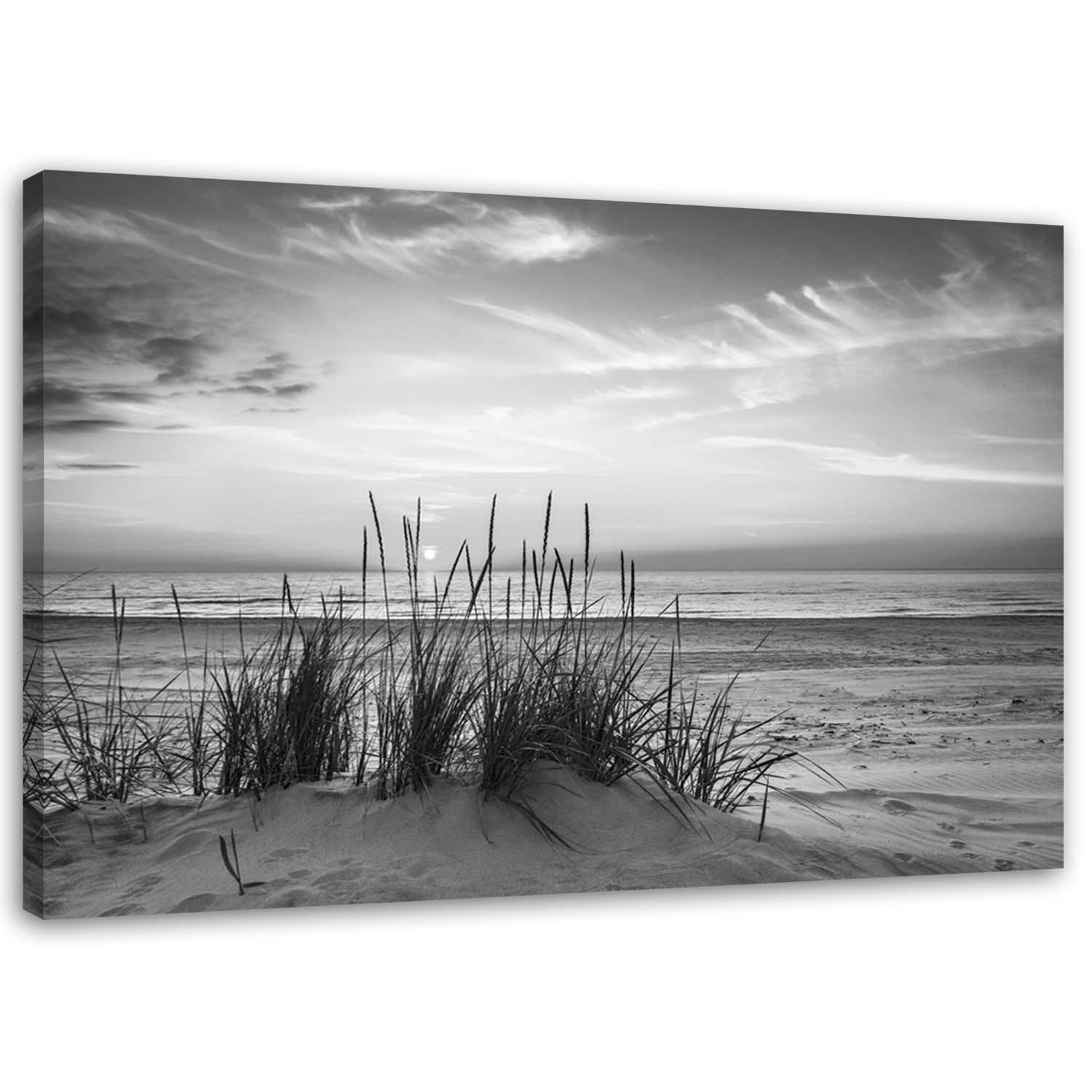 Canvasbillede, Græs på strand - sort og hvid