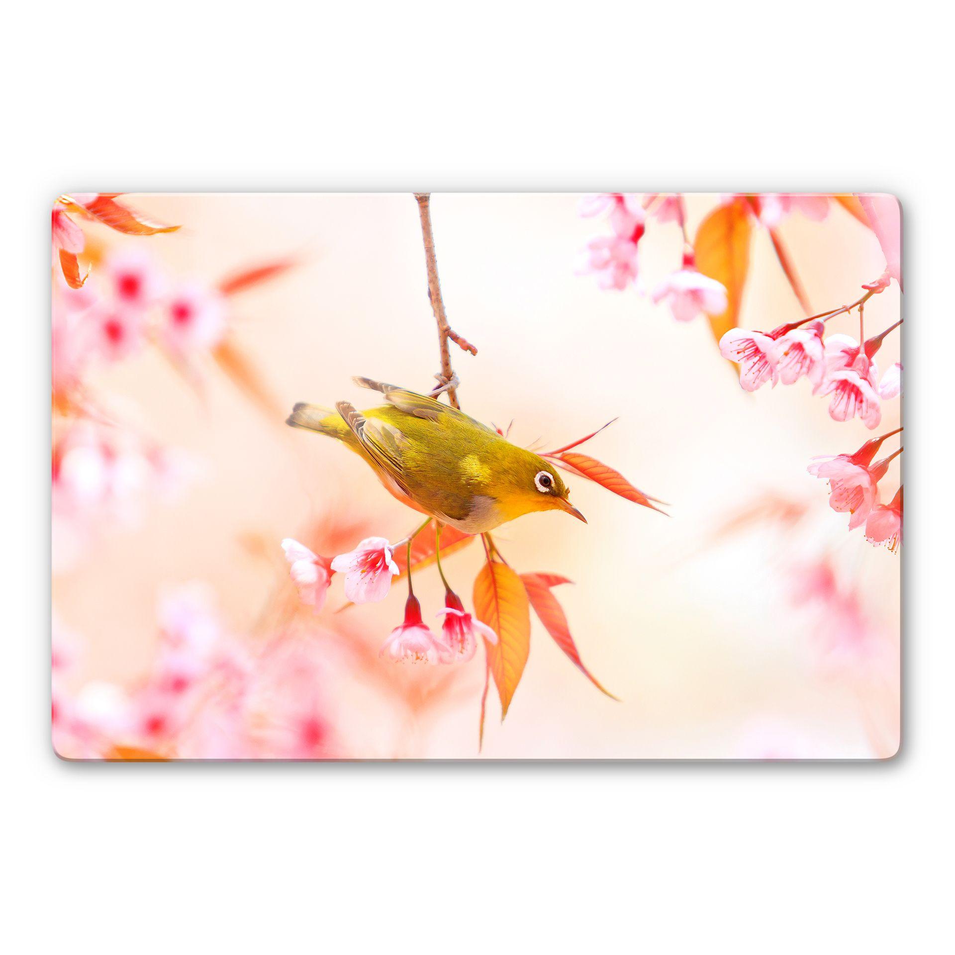 Tableau en verre - Gazouillis d'oiseaux dans les fleurs de cerisiers