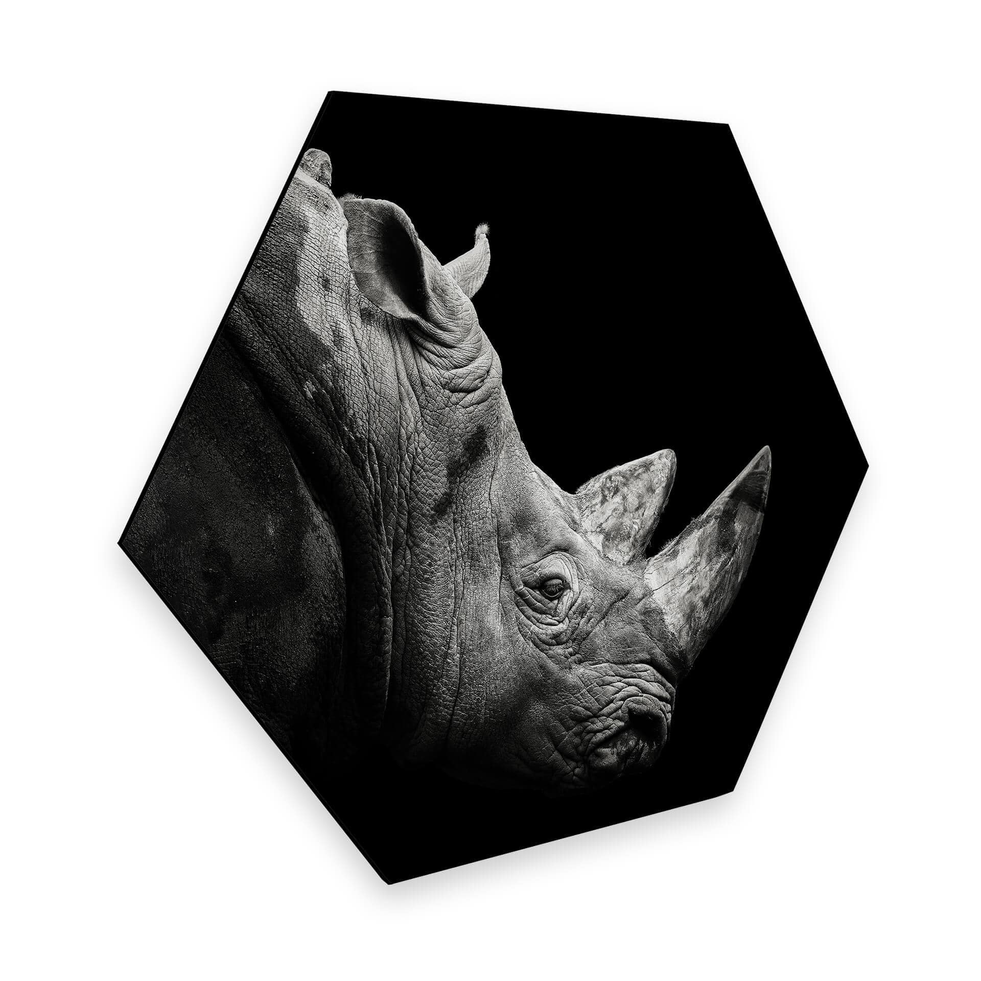 Hexagone - alu-Dibond Meermann - Le rhinocéros