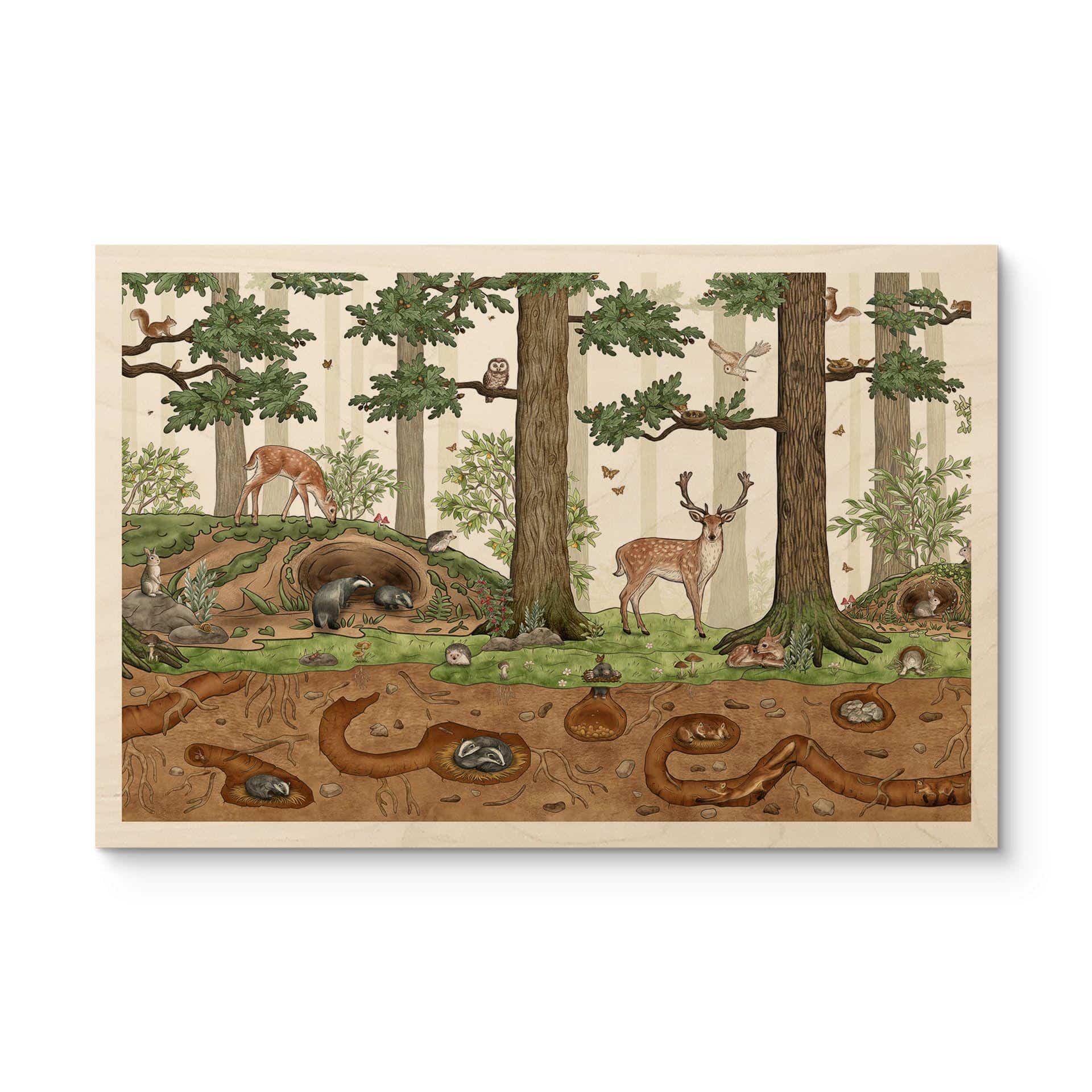 Cuadro de madera objeto oculto animales del bosque - Kikki Belle