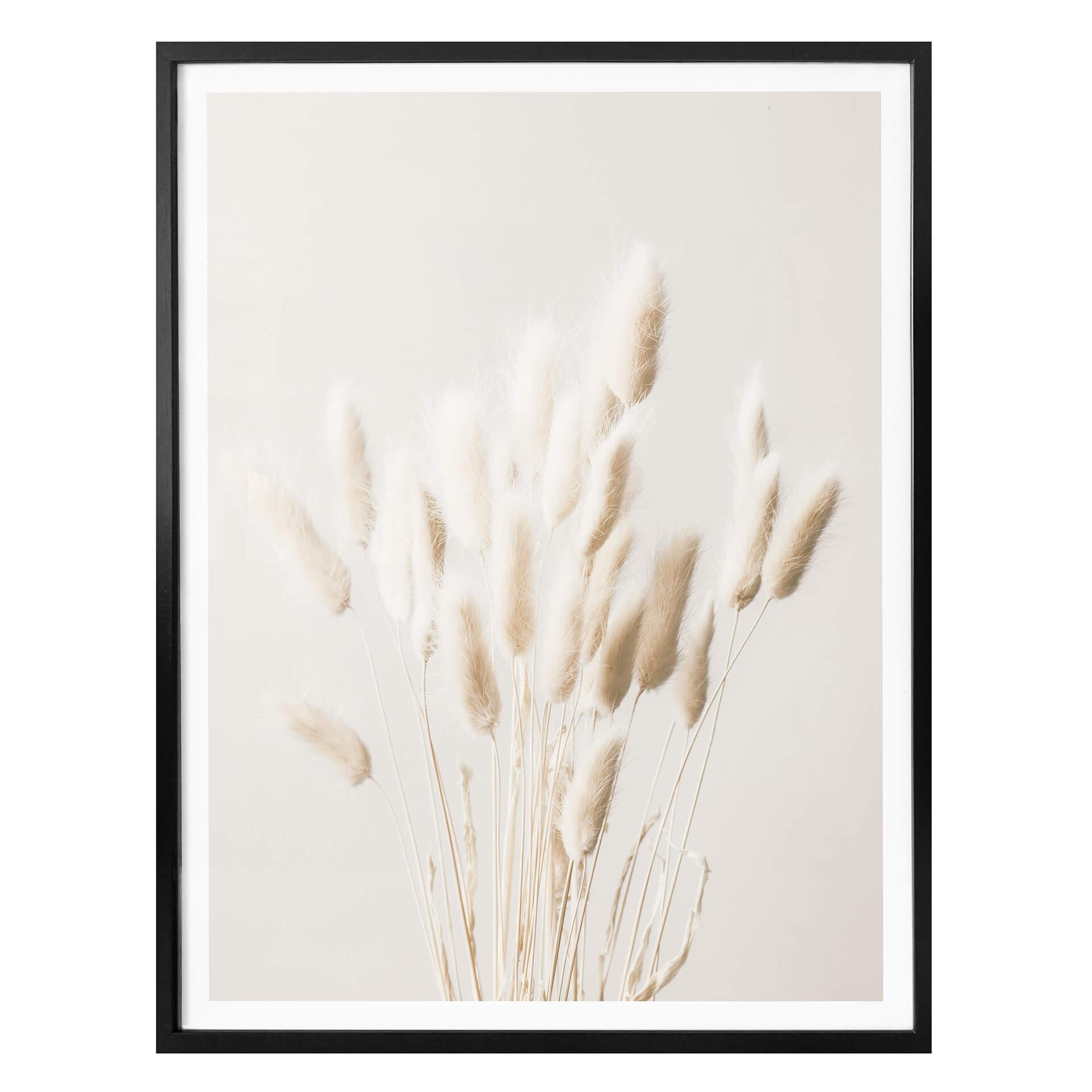 Plakat - 1X Studio - Dried Grass