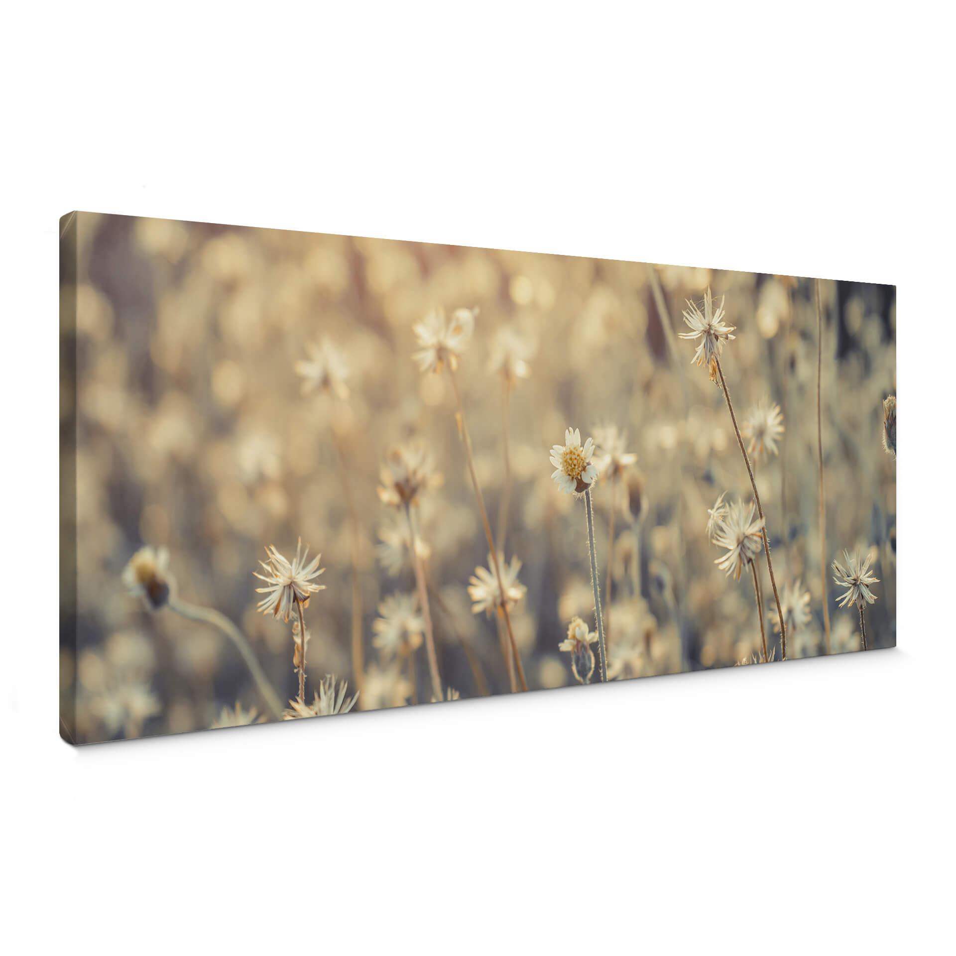 Lienzo margarita mexicana - Panorama