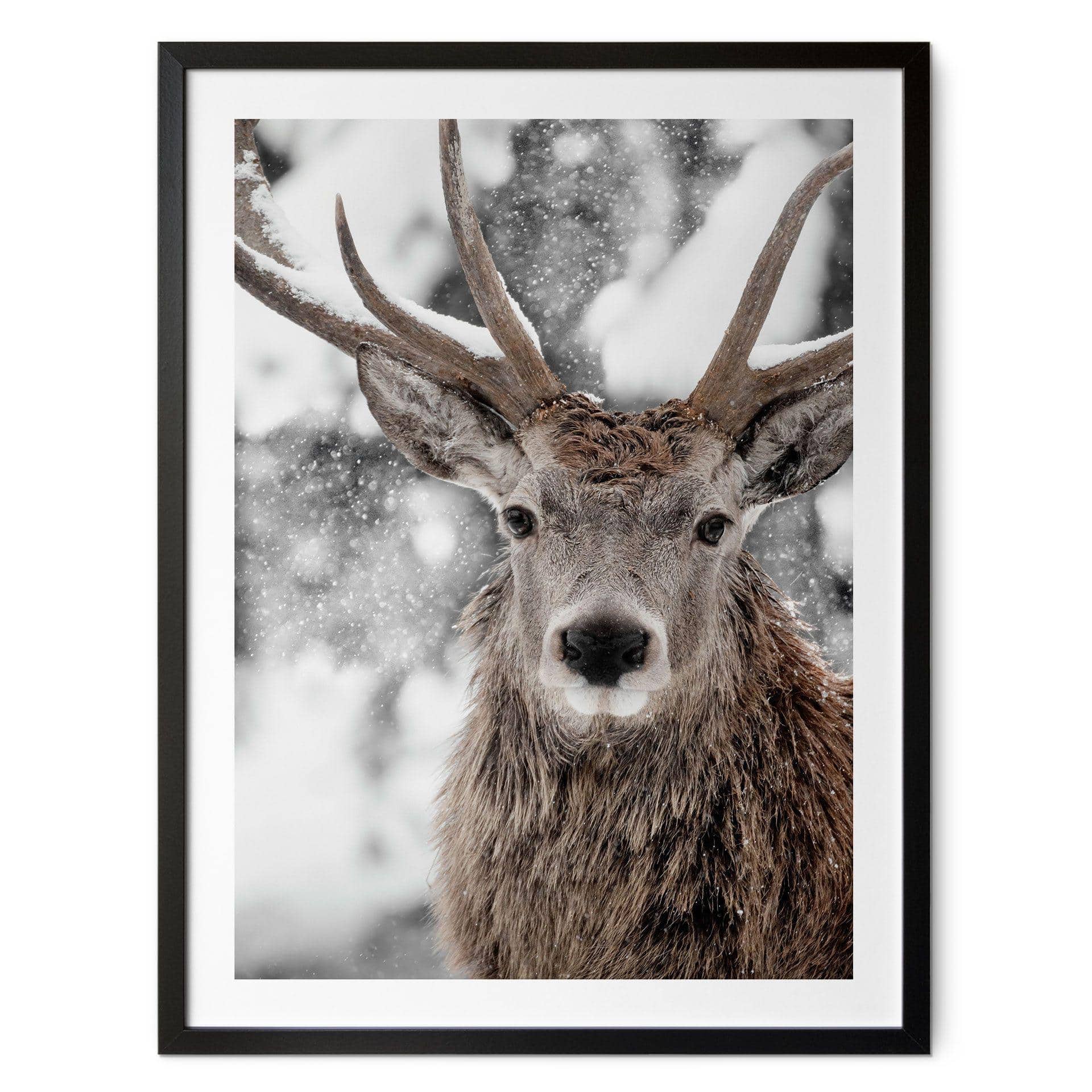 Póster Invierno - Ciervos en una nevada - Strigel