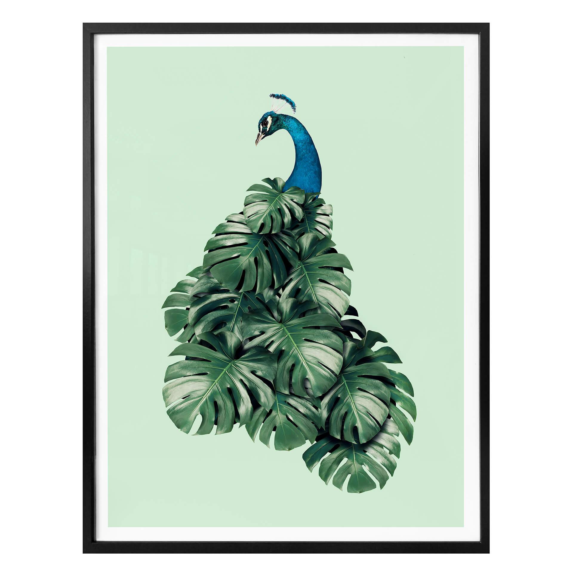 Plakat - Loose - Monstera Bird