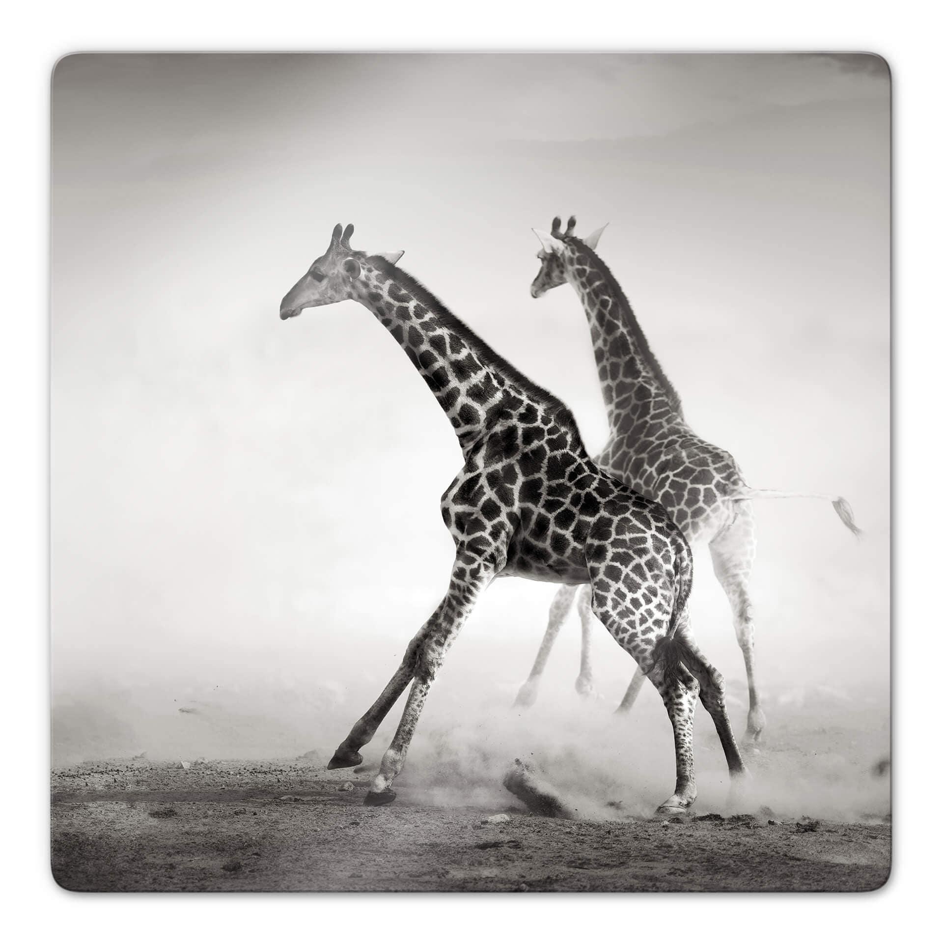 Tableau en verre - La fuite