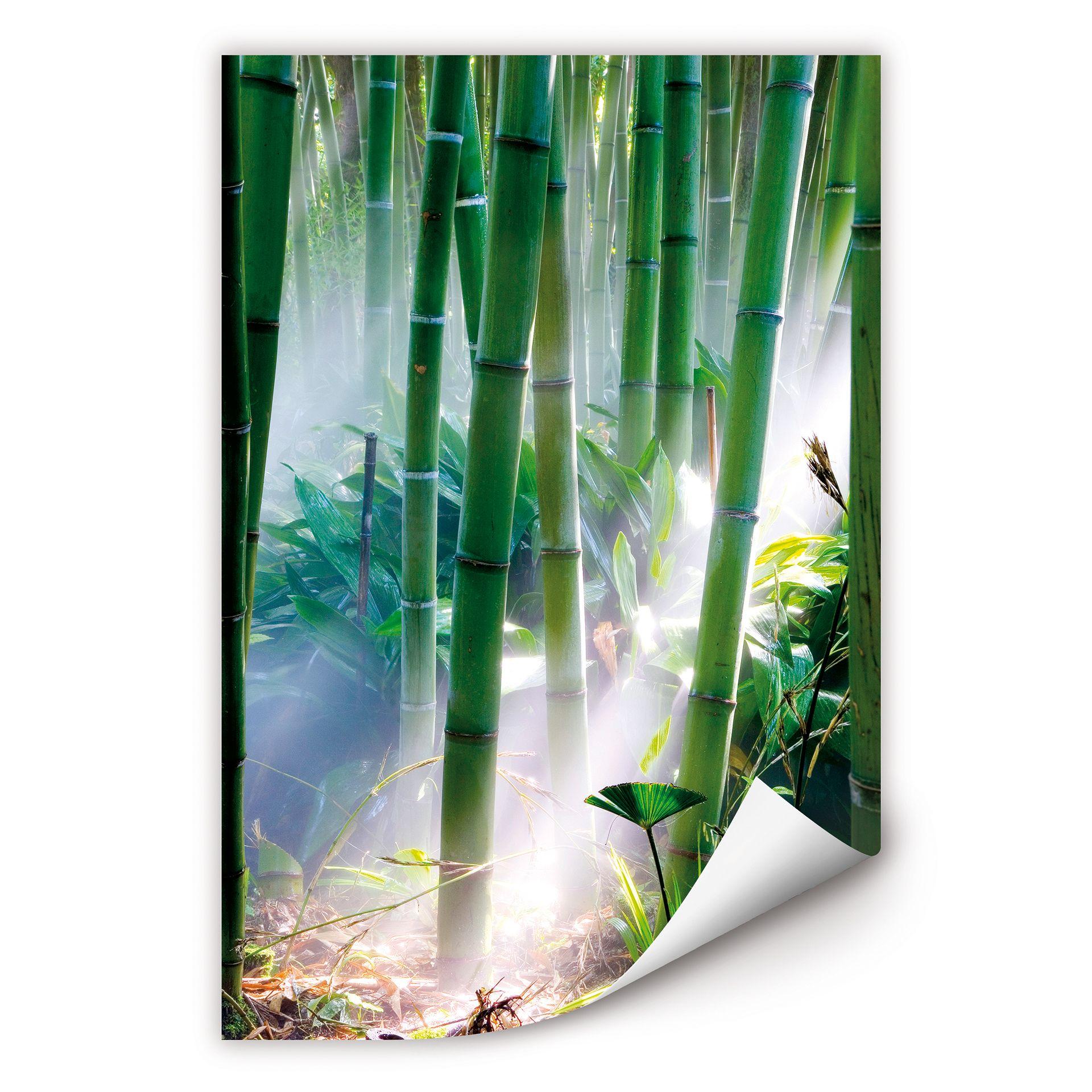 Poster autocollant - W - Bamboo Forest