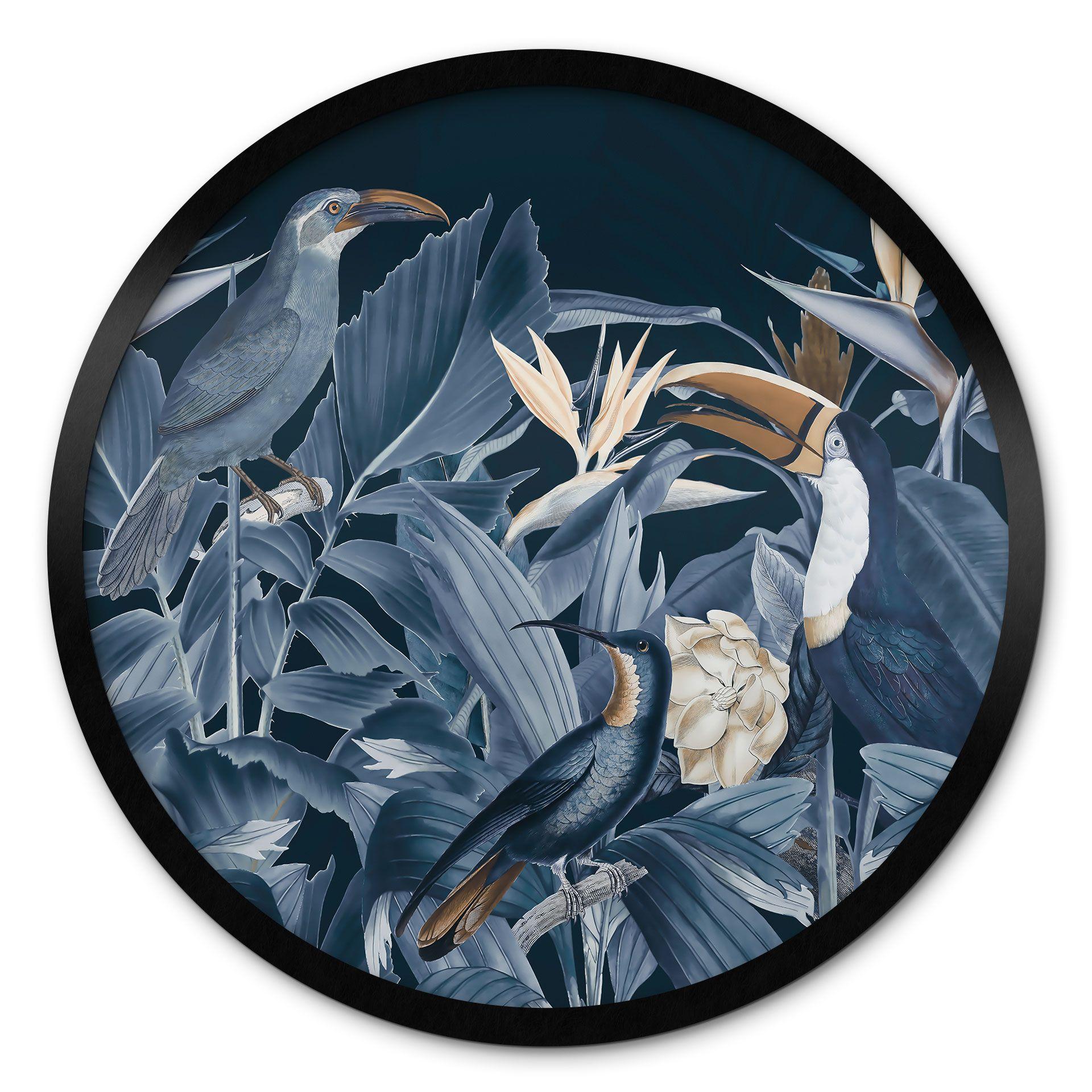 Póster Aves tropicales en el bosque de noche - Haase - Redondo