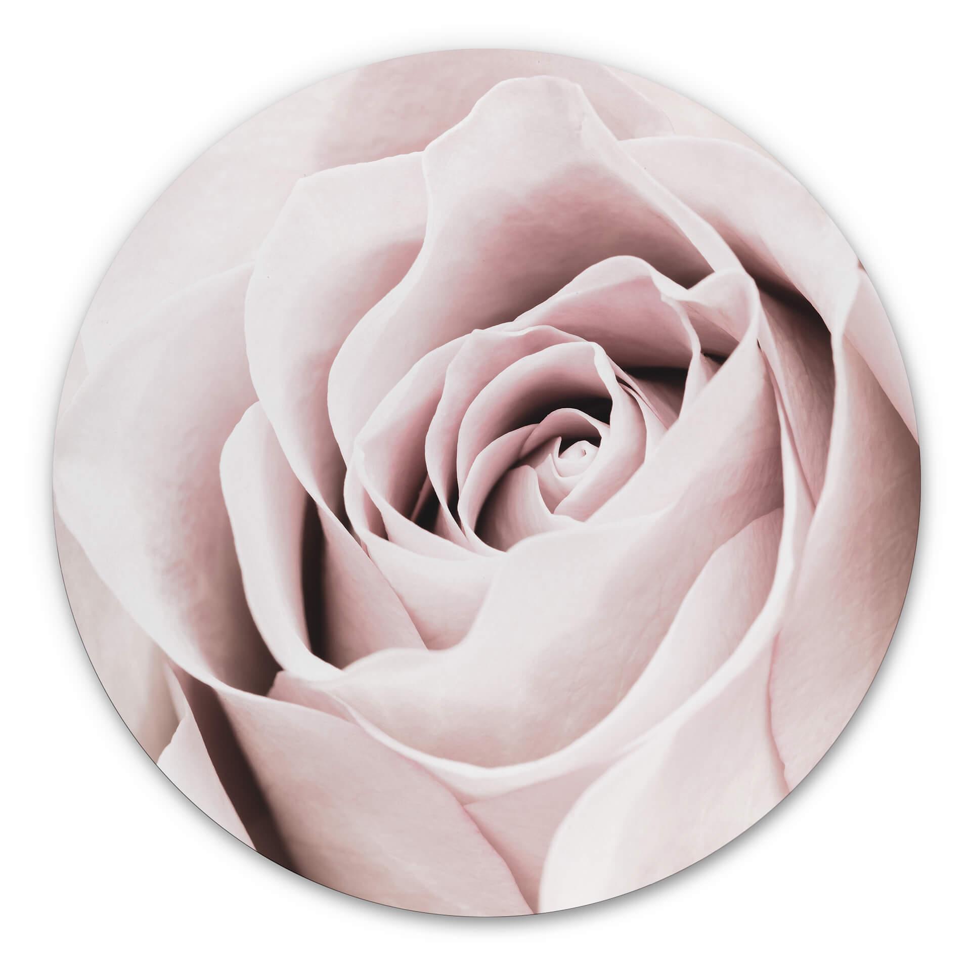Tableau sur alu-Dibond 1X Studio - Rose Noble - Rond
