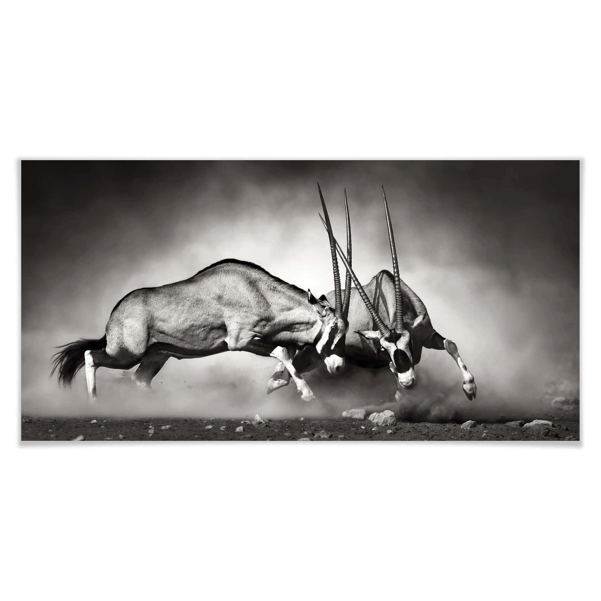 Póster El duelo - Panorama