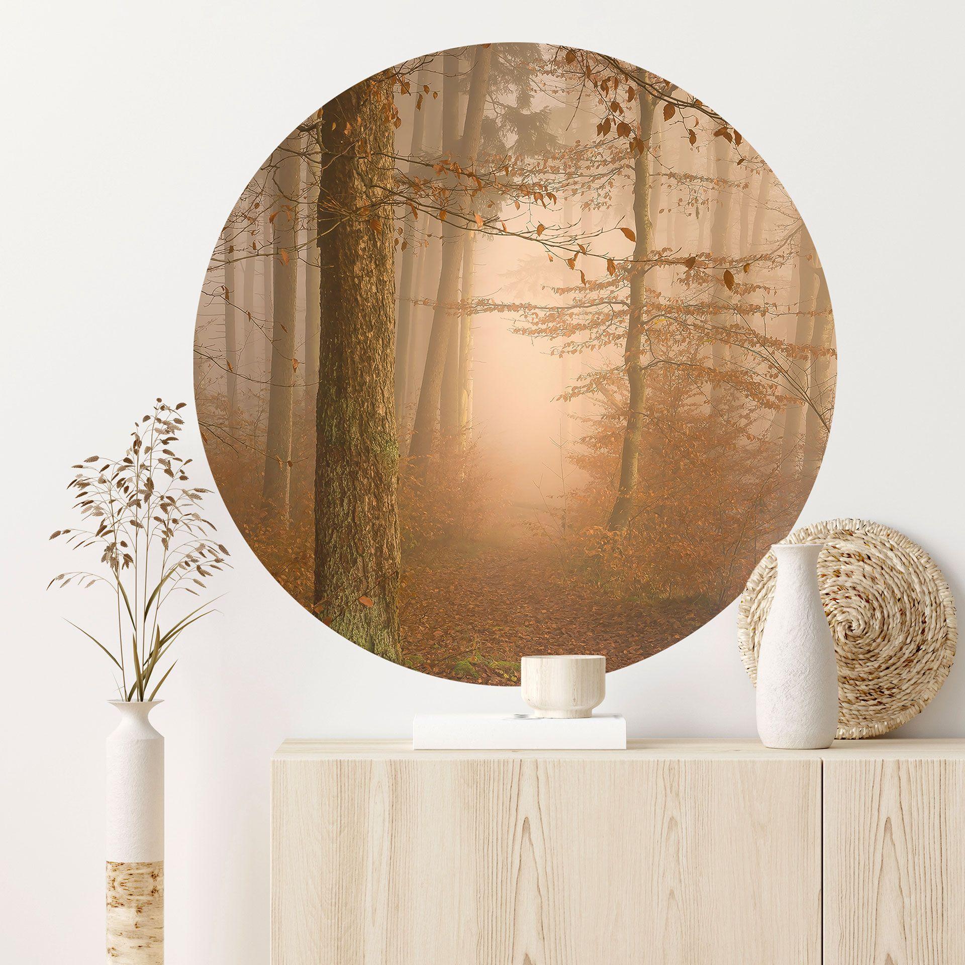 Vinilo decorativo neblina y luz en el bosque otoñal - Maier - Redondo