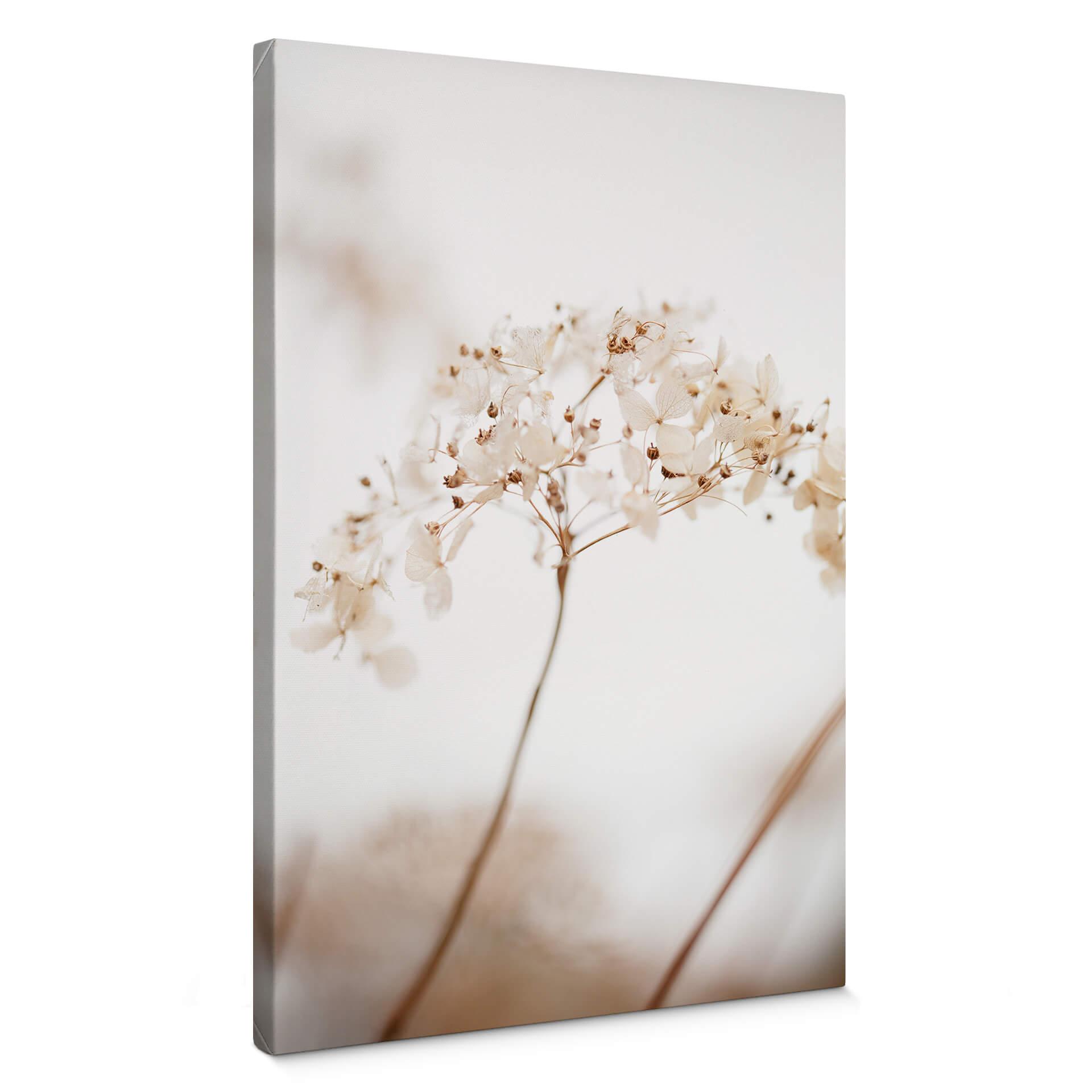 Lienzo 1X Estudio - Rama con delicadas flores