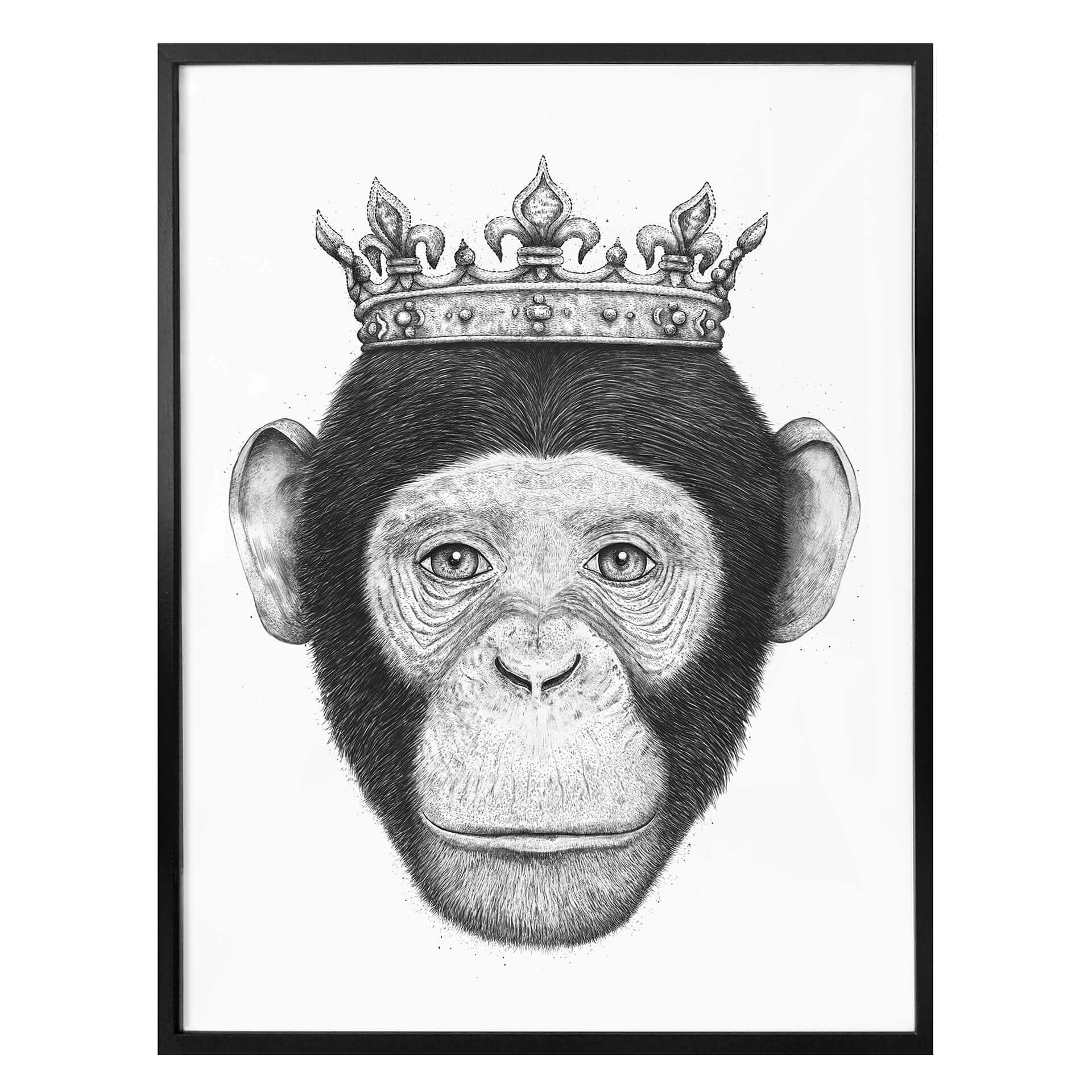 Plakat - Korenkova - The King Monkey