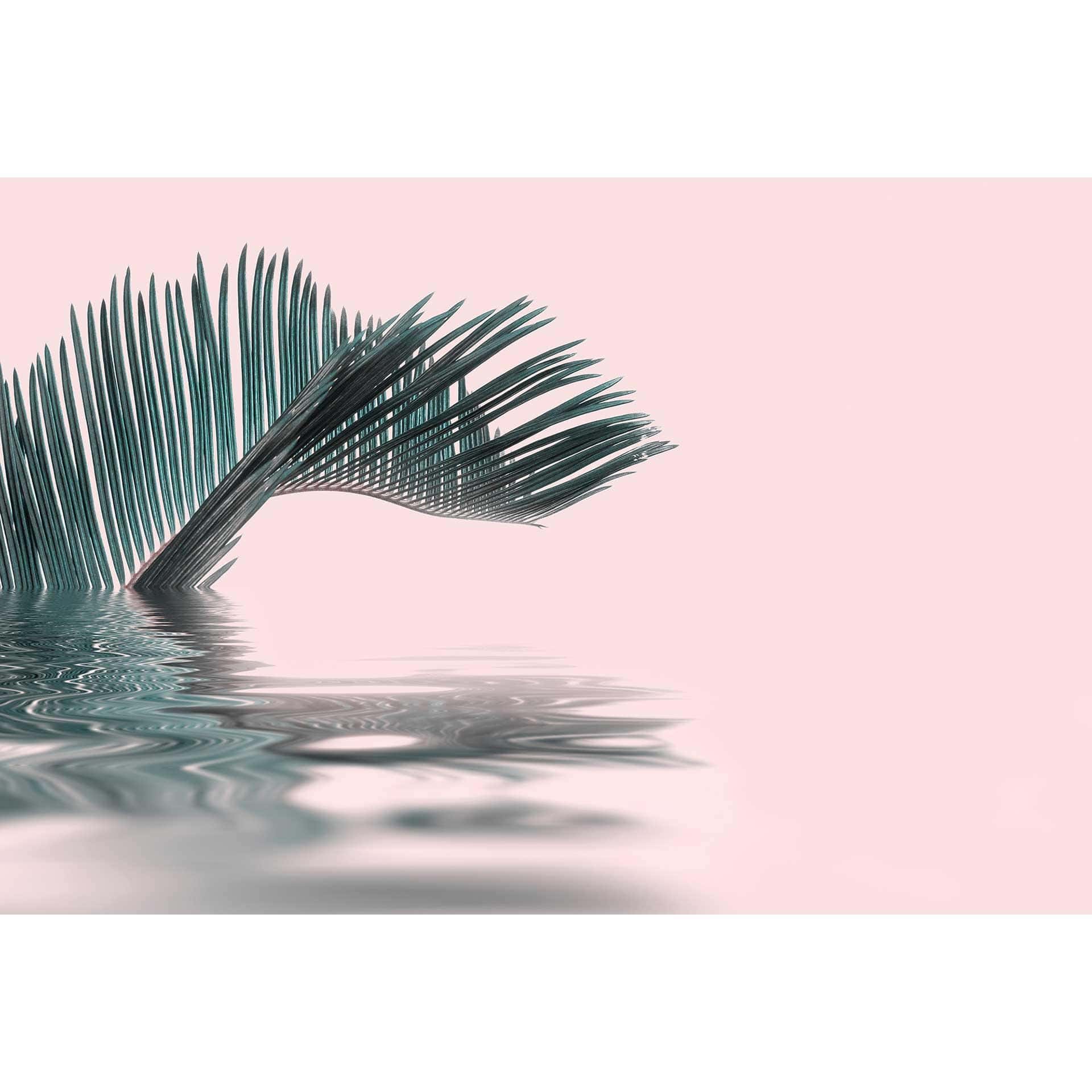 Livingwalls papier peint photo ARTist Palm Leaf Water avec feuille de palmier rose