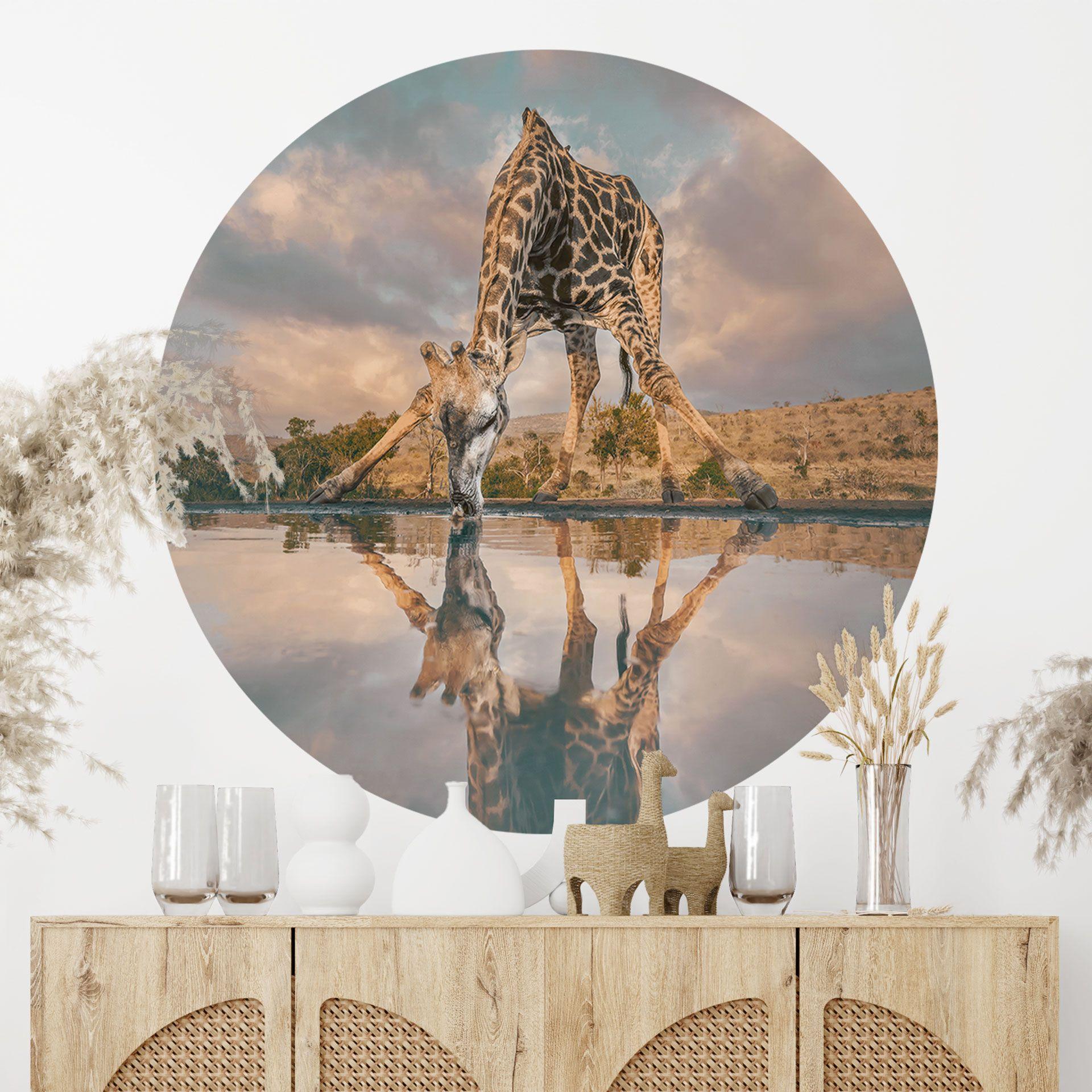 Vinilo decorativo reflejo de una jirafa en libertad - Amtmann - Redondo