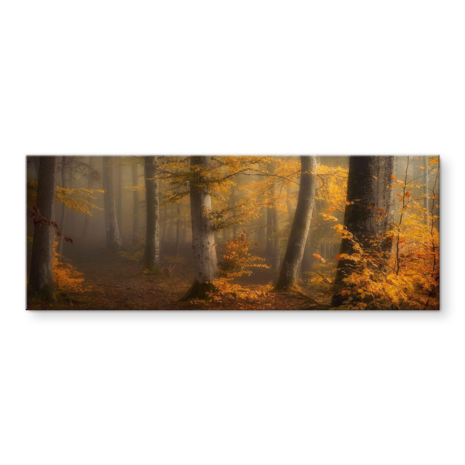 Akrylbillede Gyldne blade i en tåget skov - Maier - Panorama