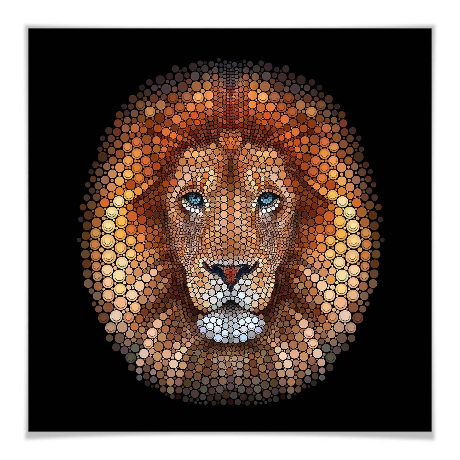 Póster Ben Heine - Circlismo: León