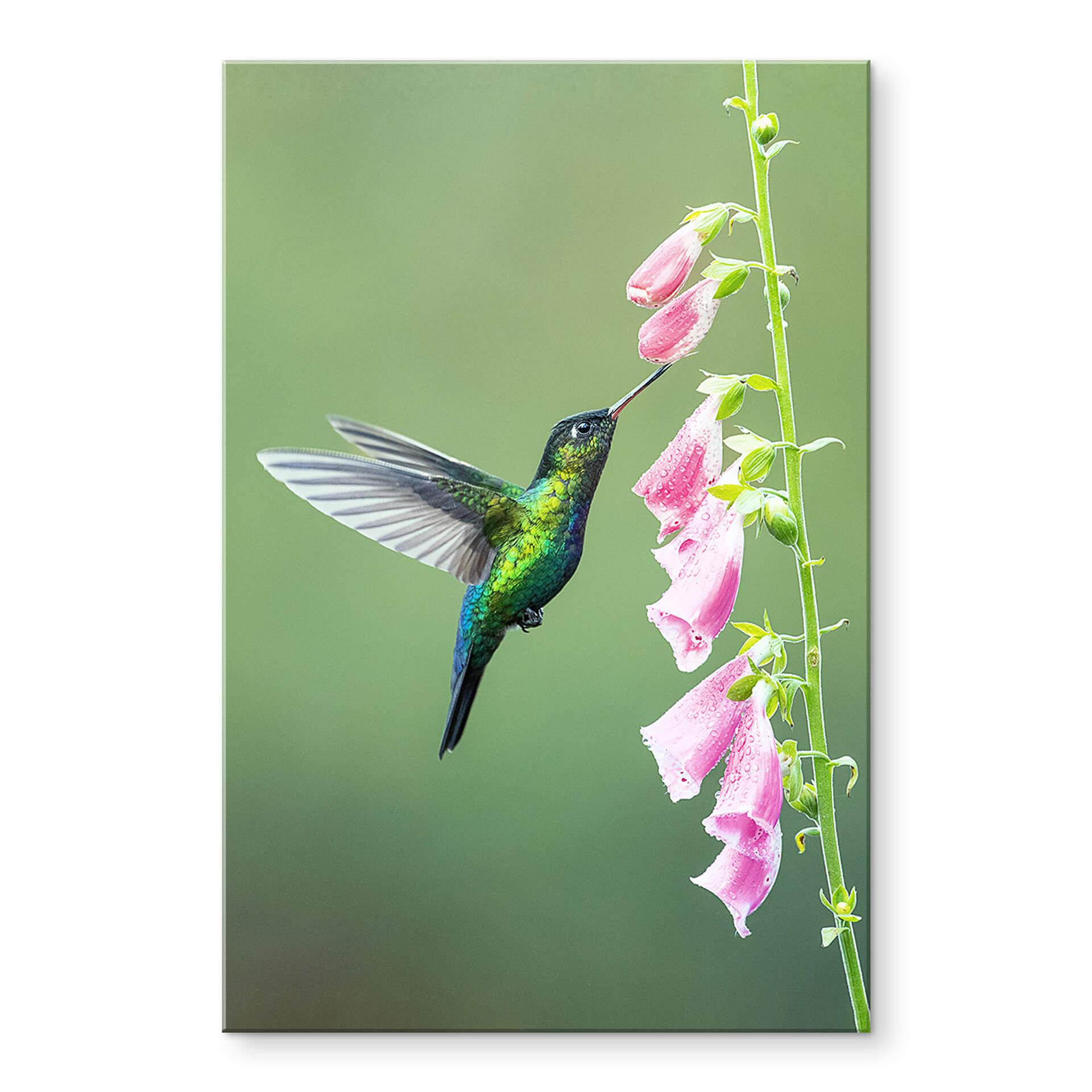 Akrylbillede van Duijn - Kolibri i lyserød blomstermagi