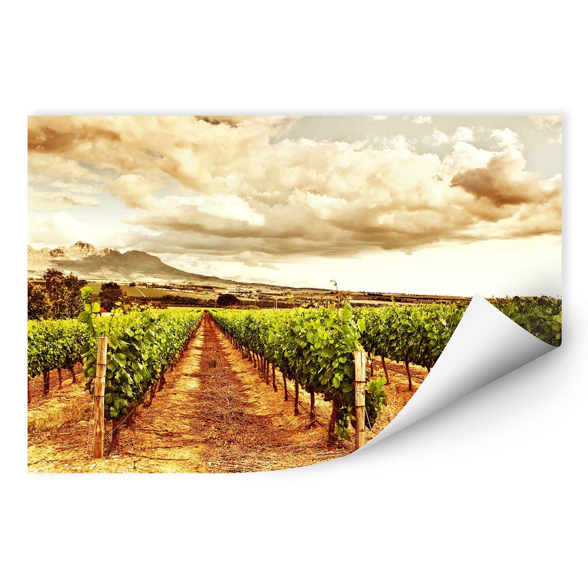 Zelfklevende Poster - Wijngaard