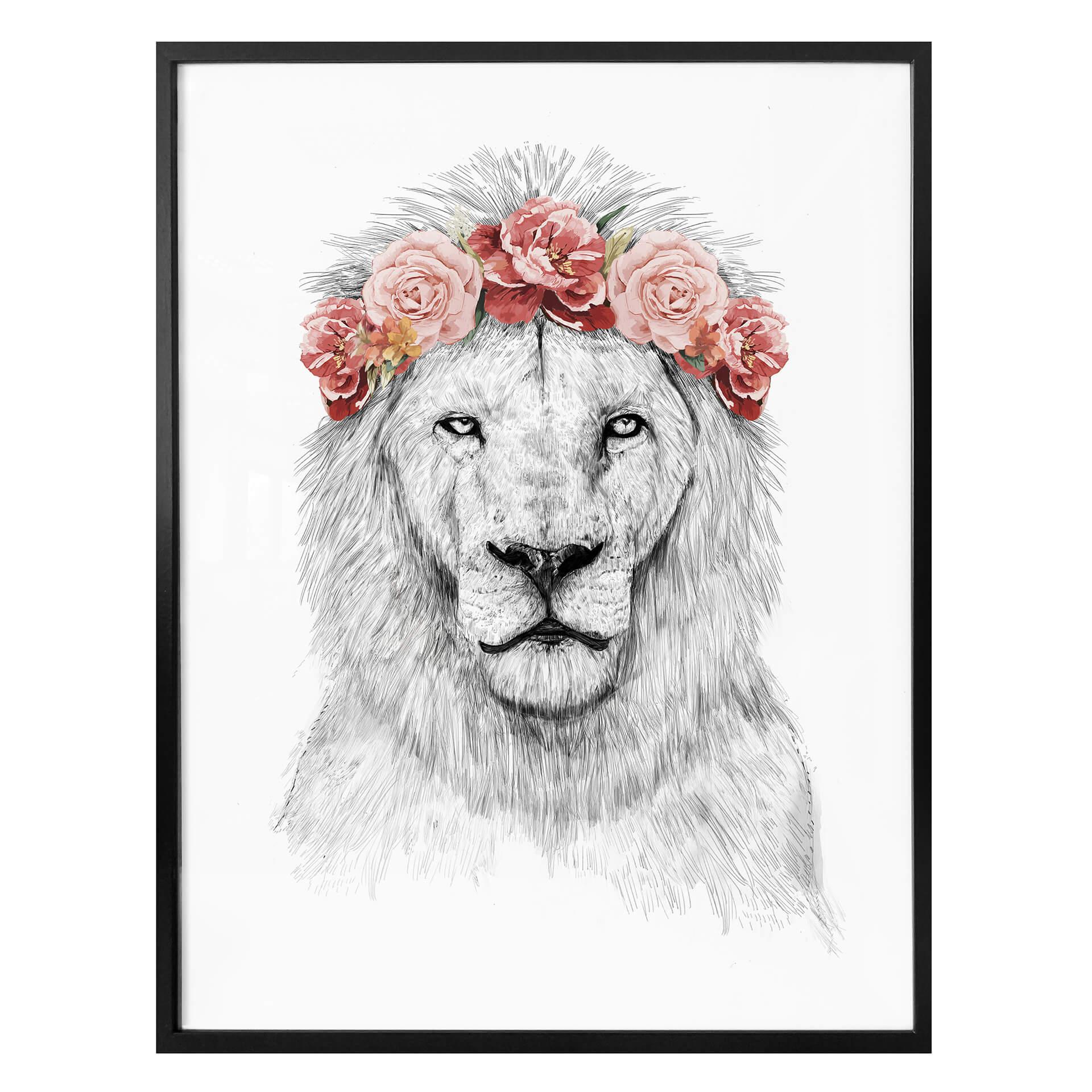 Plakat - Solti - Festival Lion
